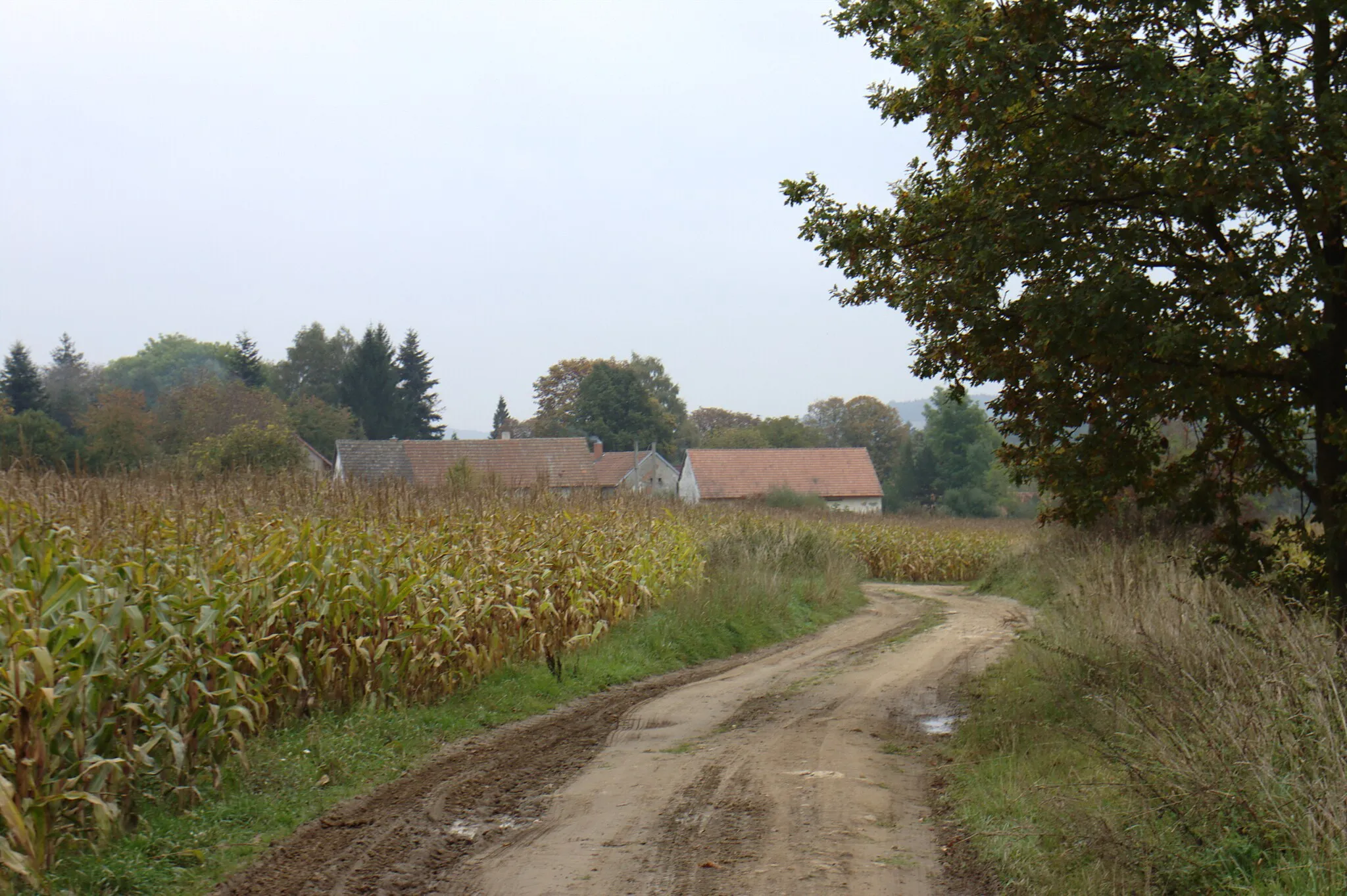 Photo showing: View of the Strženec village, Central Bohemian Region, CZ