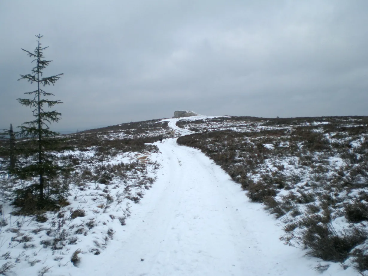 Photo showing: Vrchol hory Houpák (794 m) na dopadové ploše Jordán