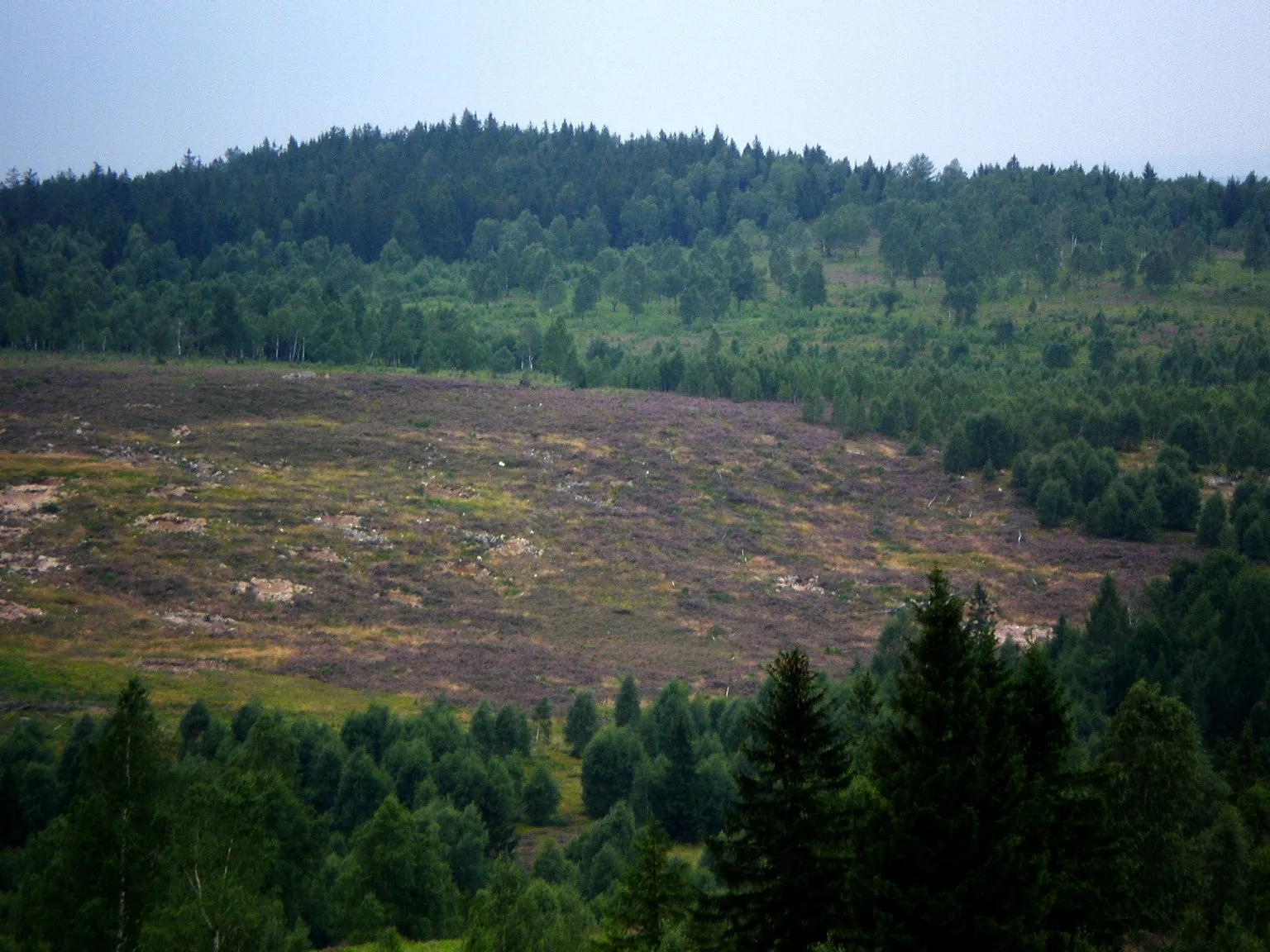 Photo showing: Vrch Jordán (826 m) nad stejnojmennou cílovou plochou