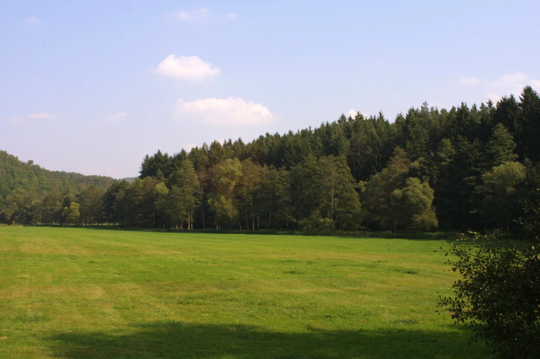 Photo showing: Údolí významného vodního toku Třemošná, pohled ze silnice mezi Kaceřovem a Planou.