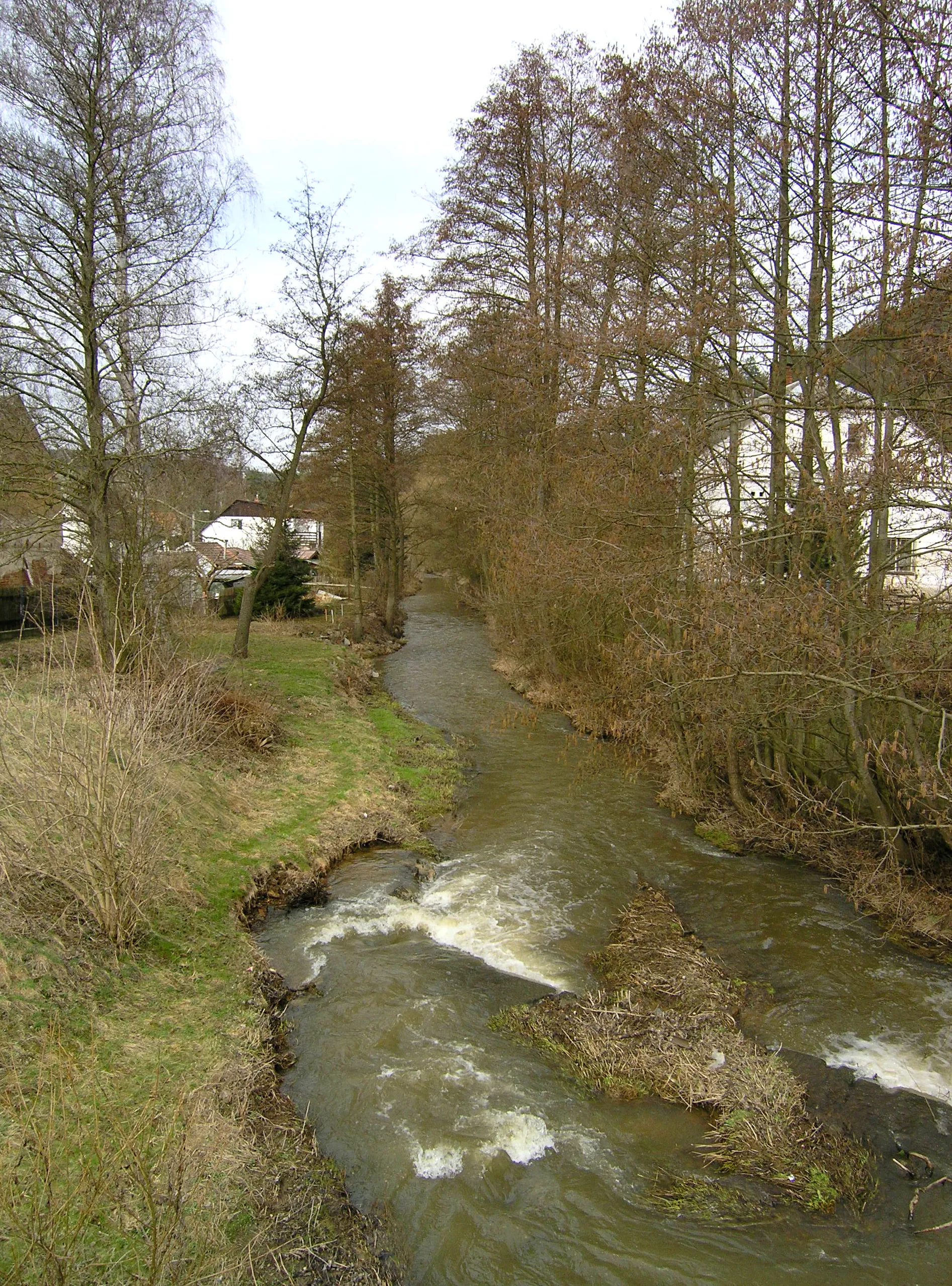 Photo showing: Třemošná River in Hromnice village, Czech Republic