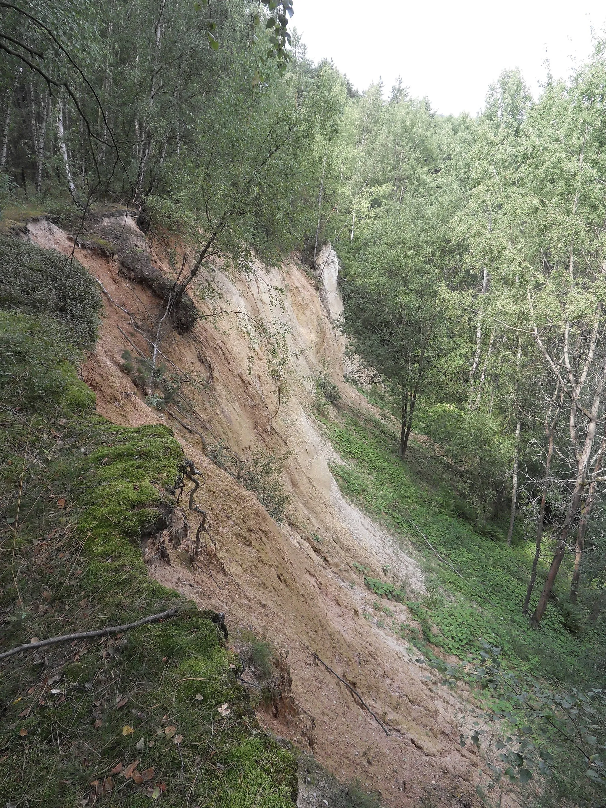 Photo showing: Přírodní památka "Kateřina" u obce Břasy (okres Rokycany)