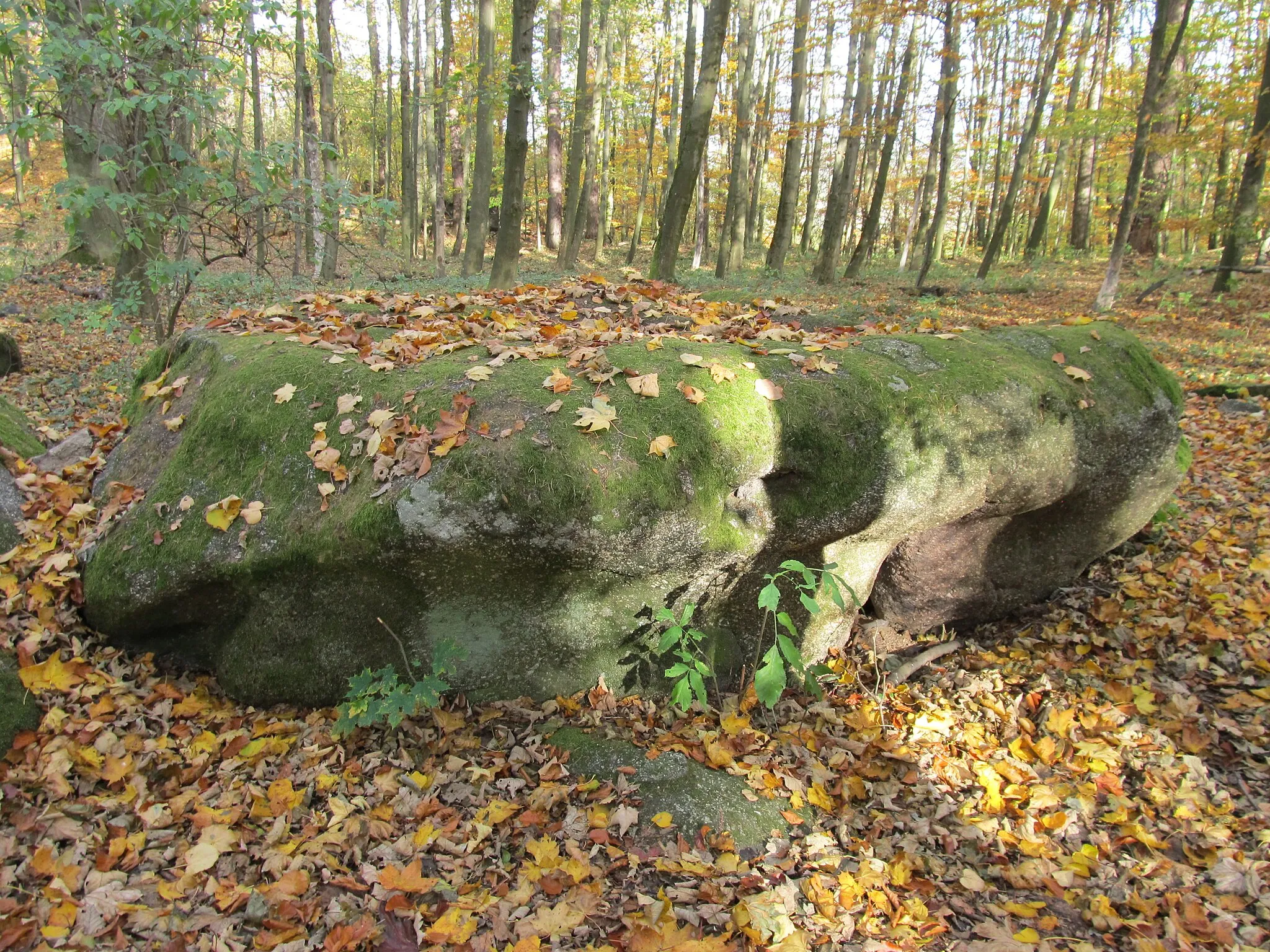 Photo showing: Kámen Loupežnický stůl na vrcholu Velkého Mehelníku