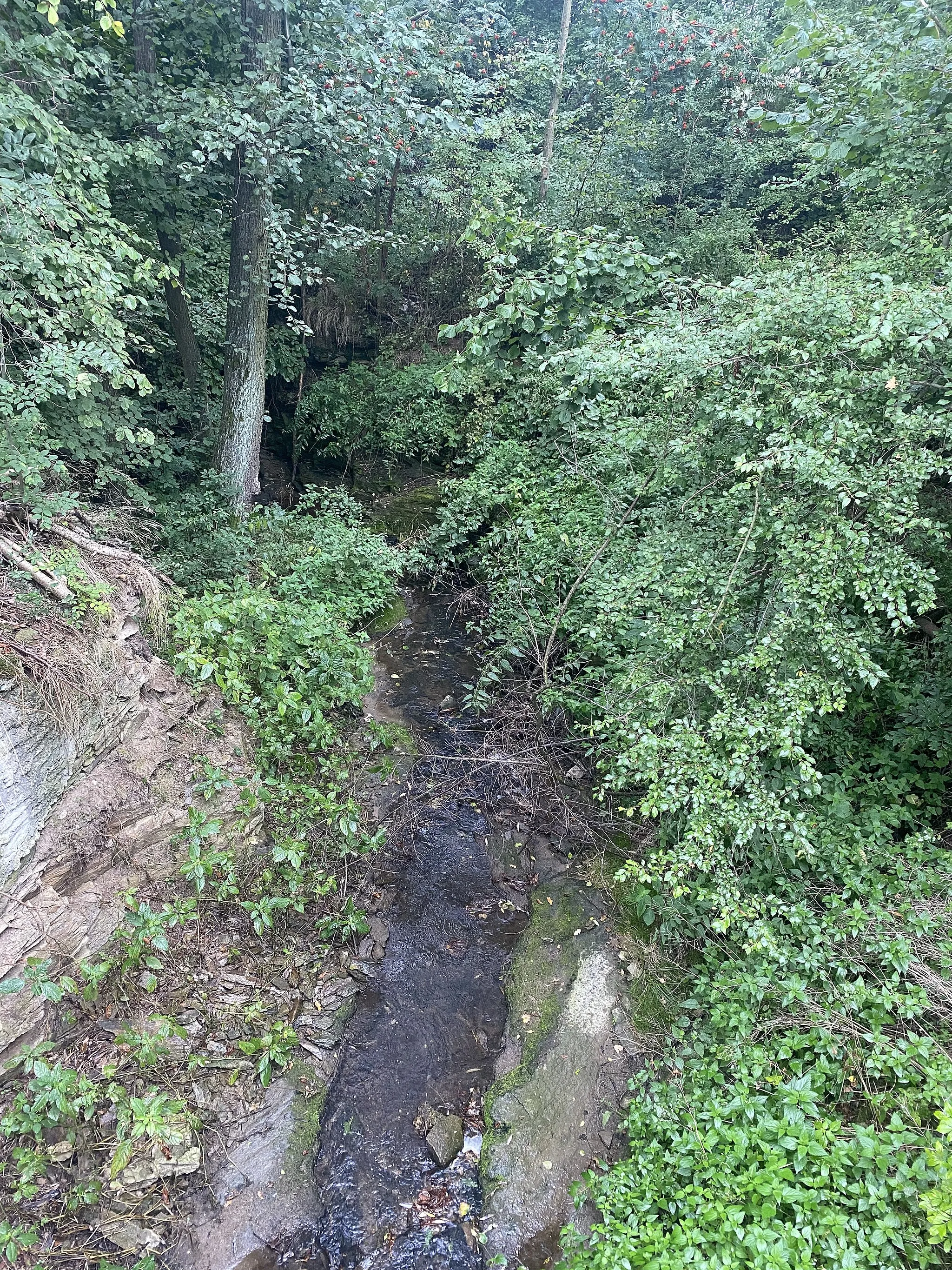 Photo showing: Onomyšlský potok stream, Kutná Hora District, Central Bohemia Region, The Czech Republic