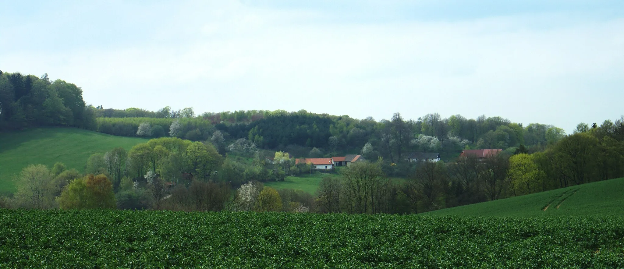 Photo showing: Countryside north from the village of Pozov (Jezviny settlement can be seen on this picture) in Benešov District, CZ