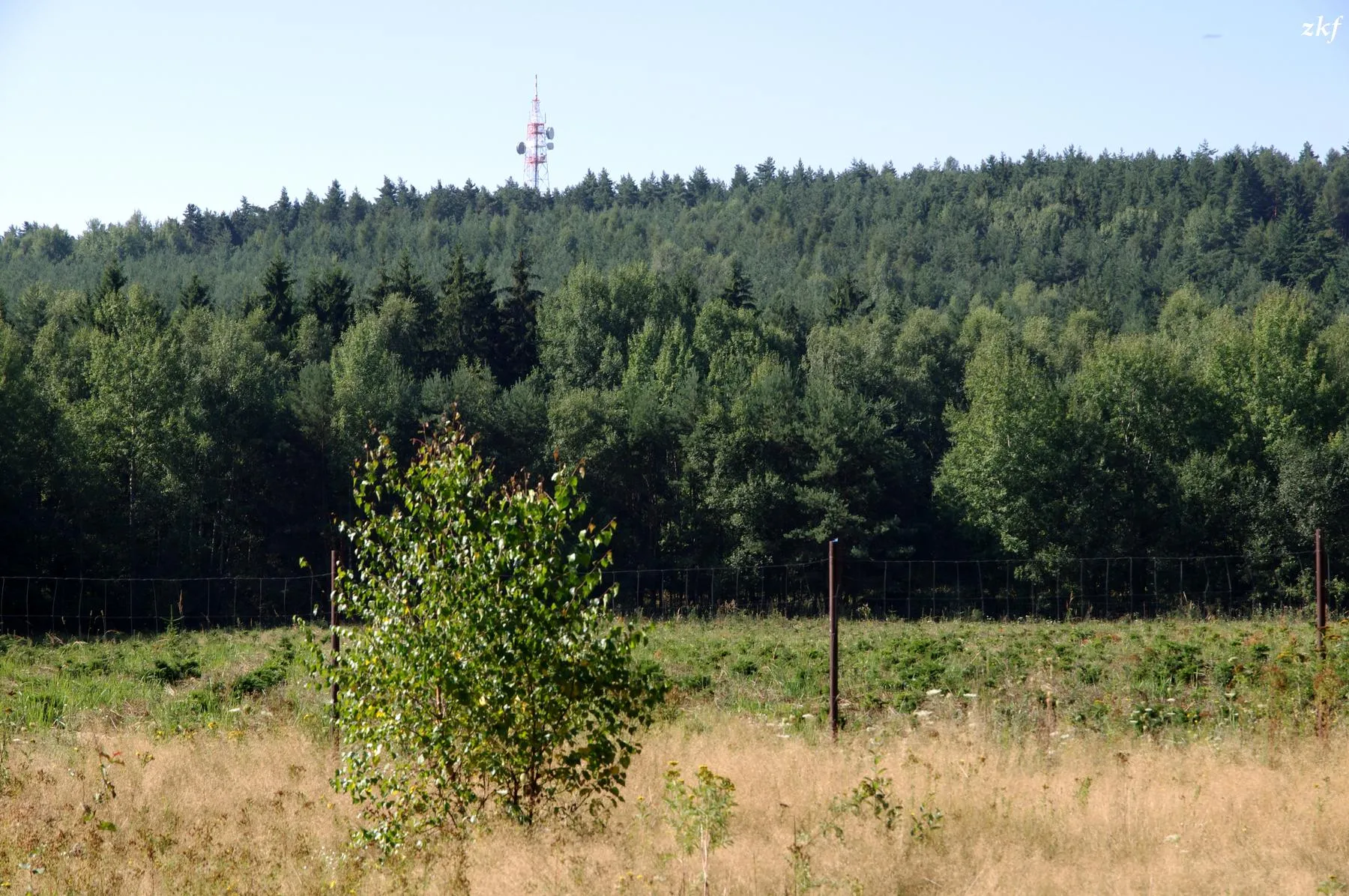 Photo showing: View of the hill Krkavec from the path of pond Strženka