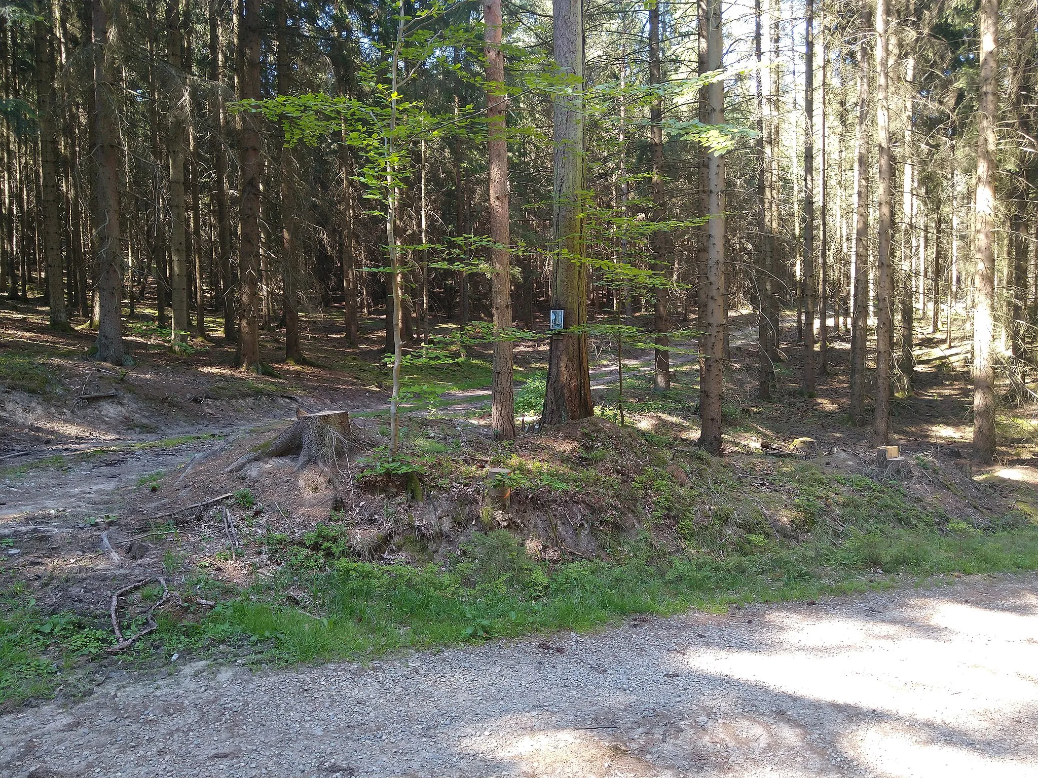 Photo showing: Studánky u Chmelné