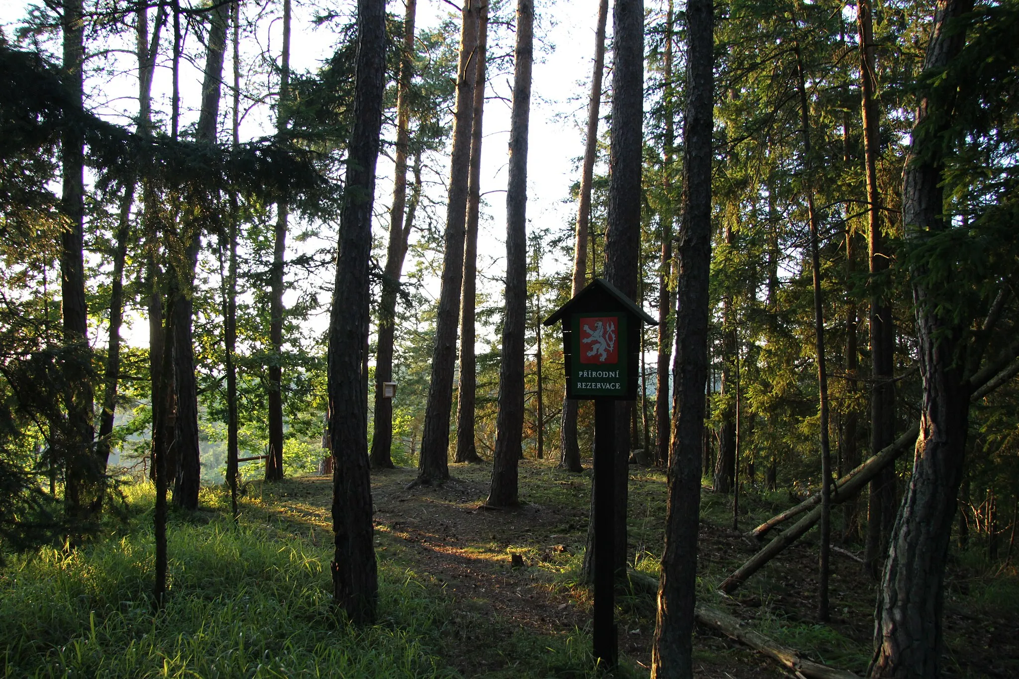Photo showing: Natural reservation called "Krkavčina" near Oslov village on the bank of Otava River, Písek District, Czech republic.