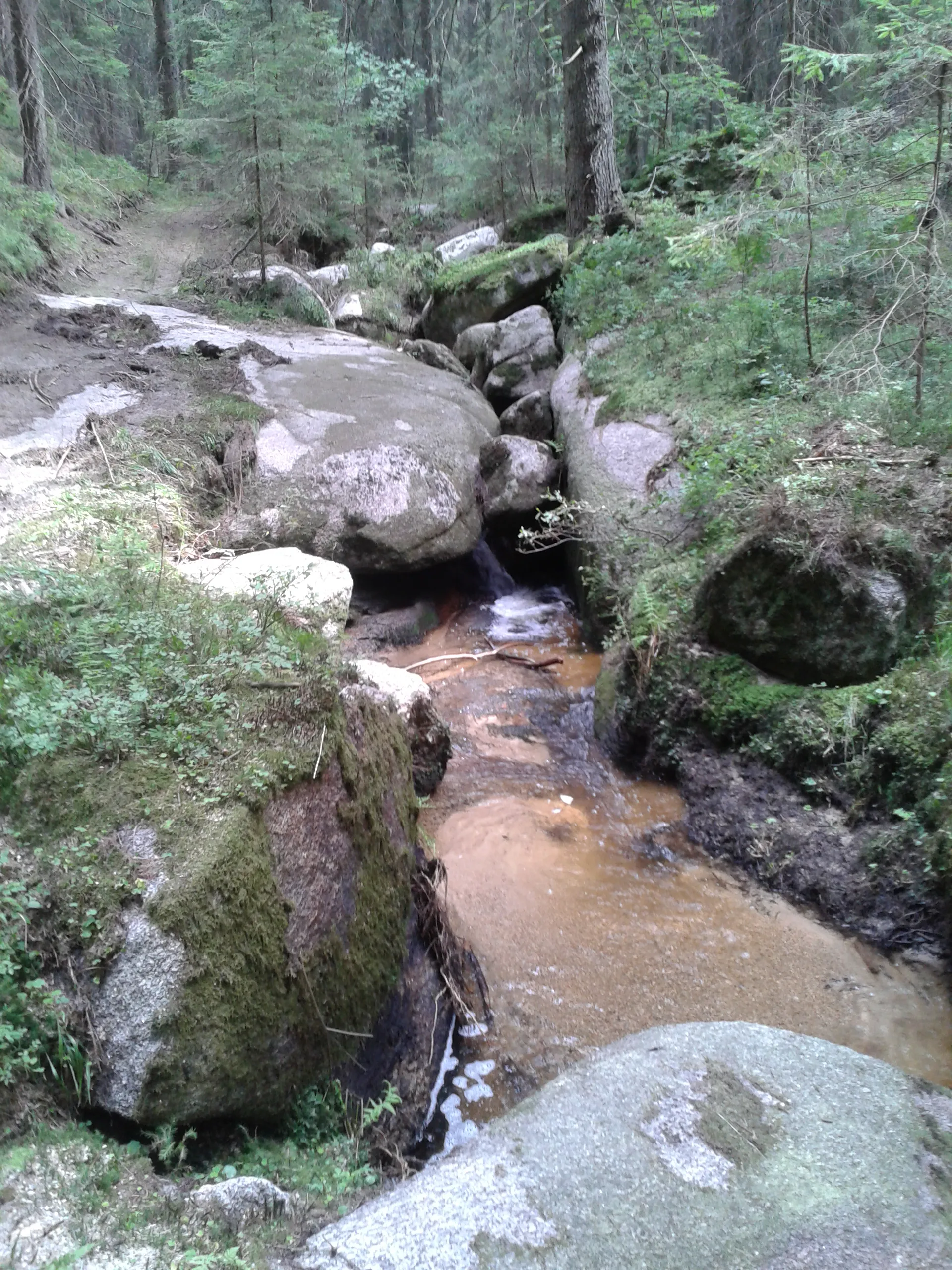 Photo showing: Der "Höllgraben" in Schönau, Teilstück eines Wanderweges (Sommer 2013)