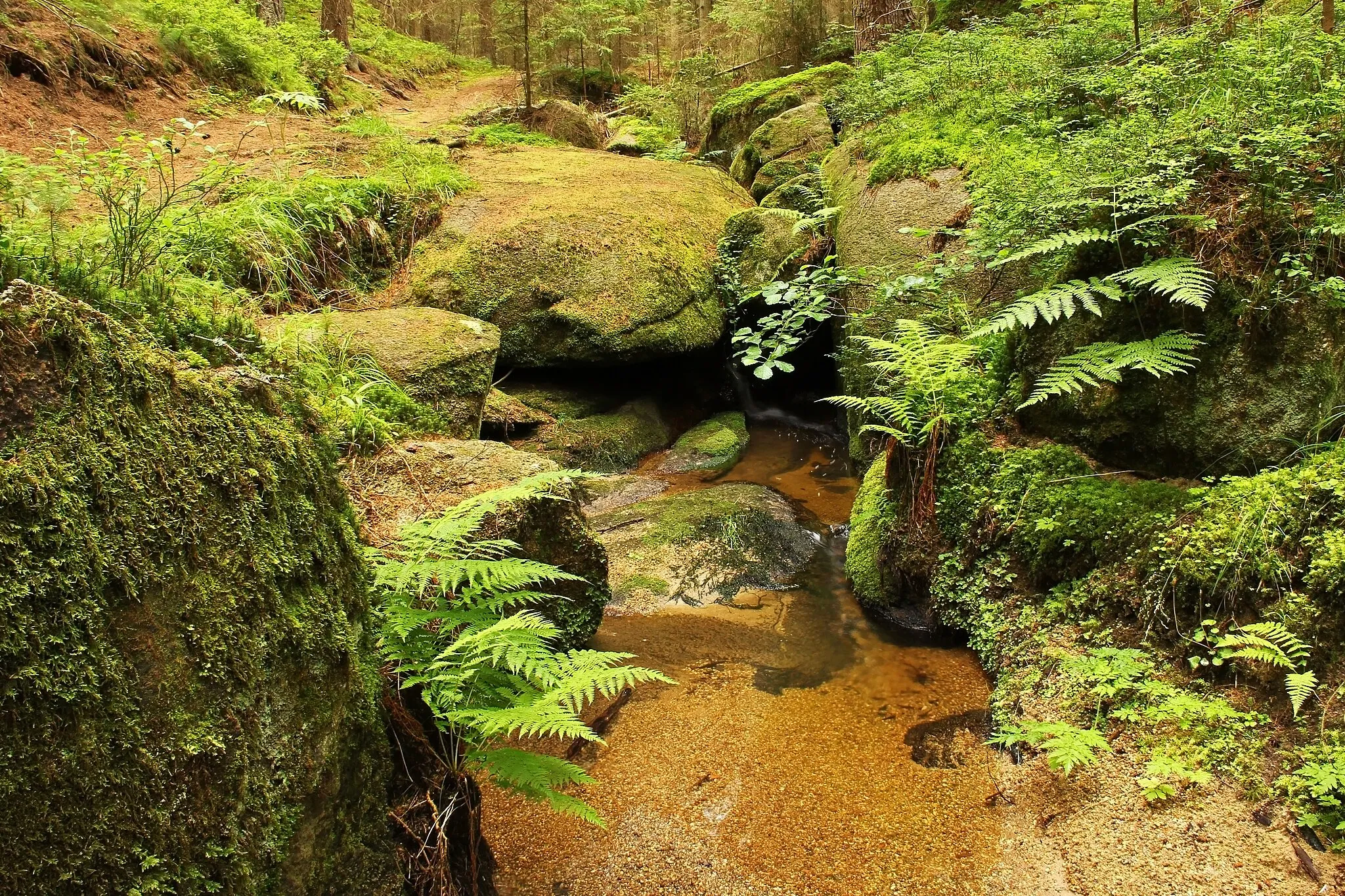 Photo showing: This media shows the natural monument in Lower Austria  with the ID GD-139.