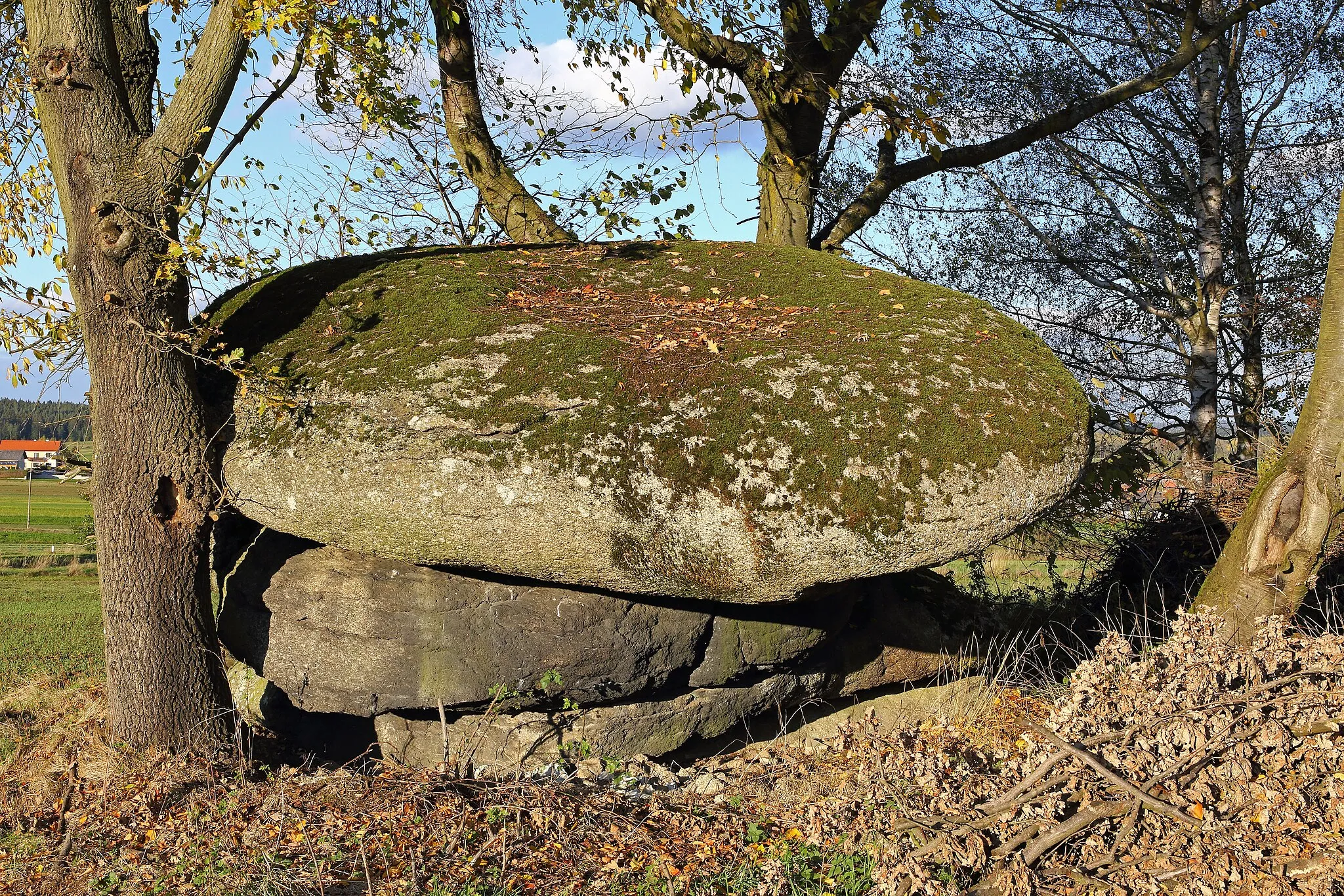 Photo showing: This media shows the natural monument in Lower Austria  with the ID GD-055.