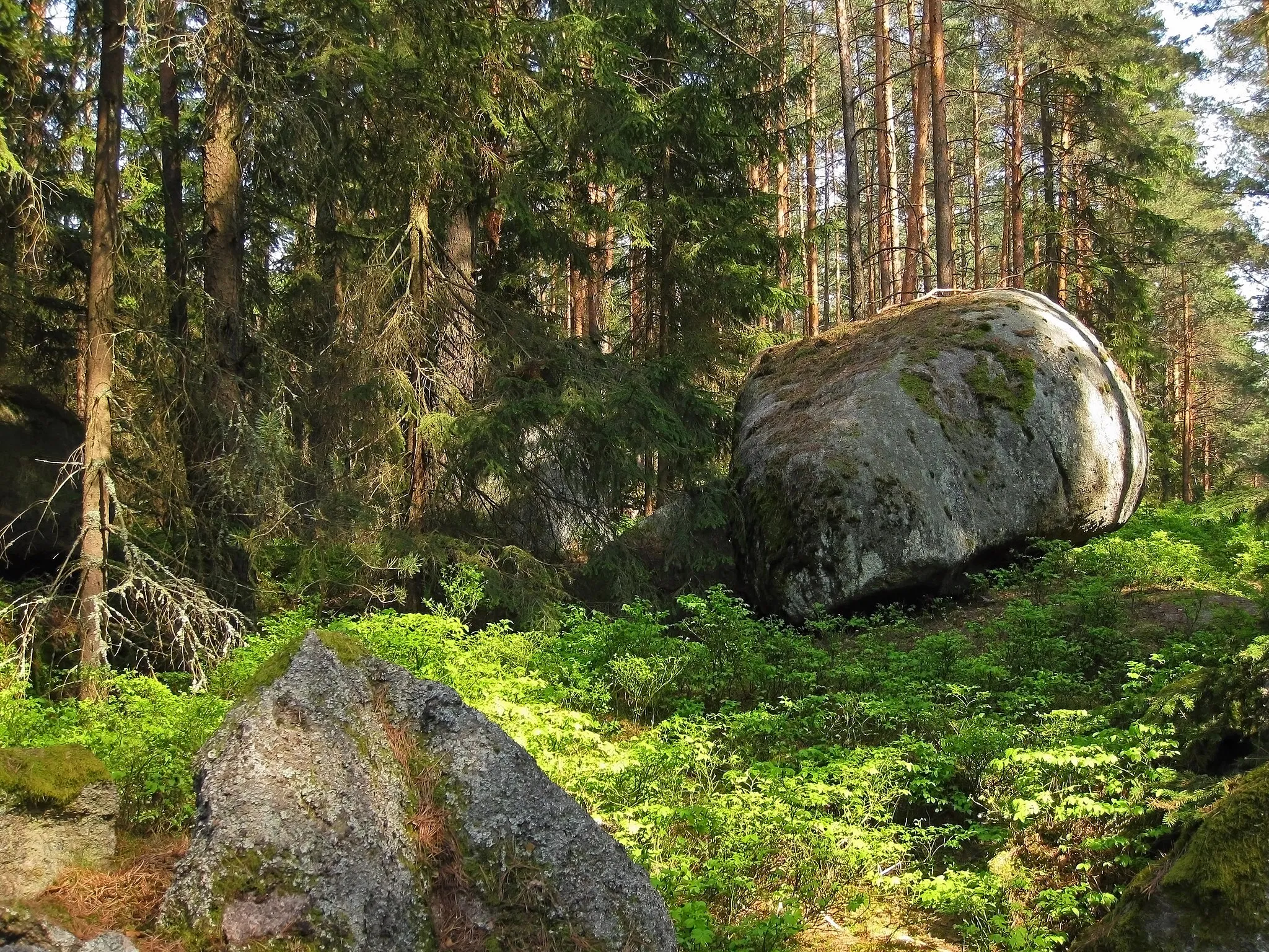 Photo showing: Naturdenkmal Granitblock-Gruppe im Wald bei Neu-Nagelberg (NÖ)