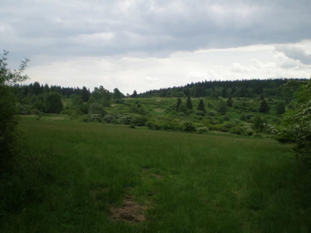 Photo showing: Lokalita, kde stávala pod vrchem Palcíř, bývalá obec Kolvín, vysídlená a následně zničená v 50.letech 20.stol. V současnosti zakonzervovaná a již nevyužívaná cílová plocha ve VVP Brdy/Jince.