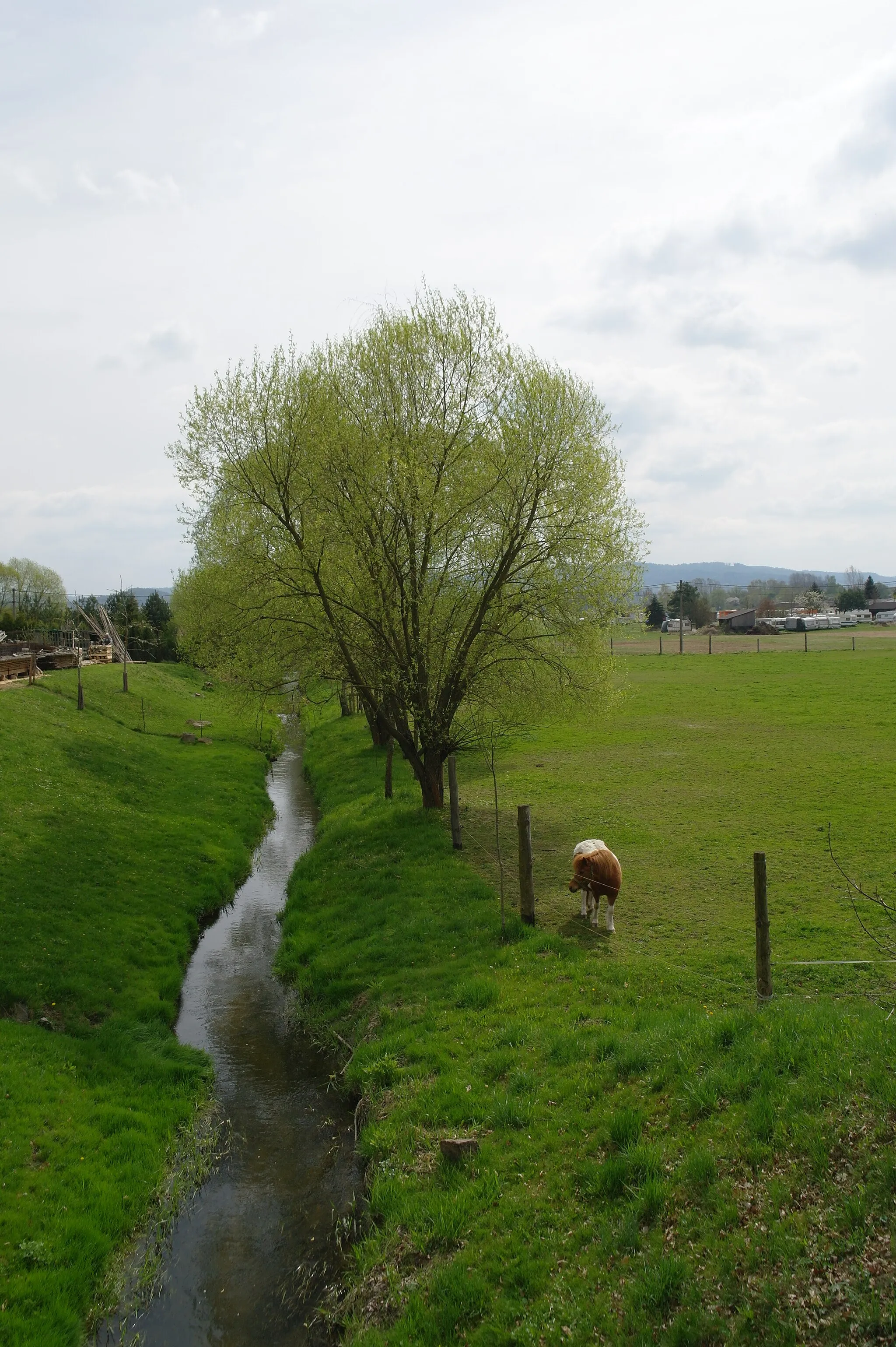 Photo showing: Chaloupky, Točnický potok a pastvina pro koně