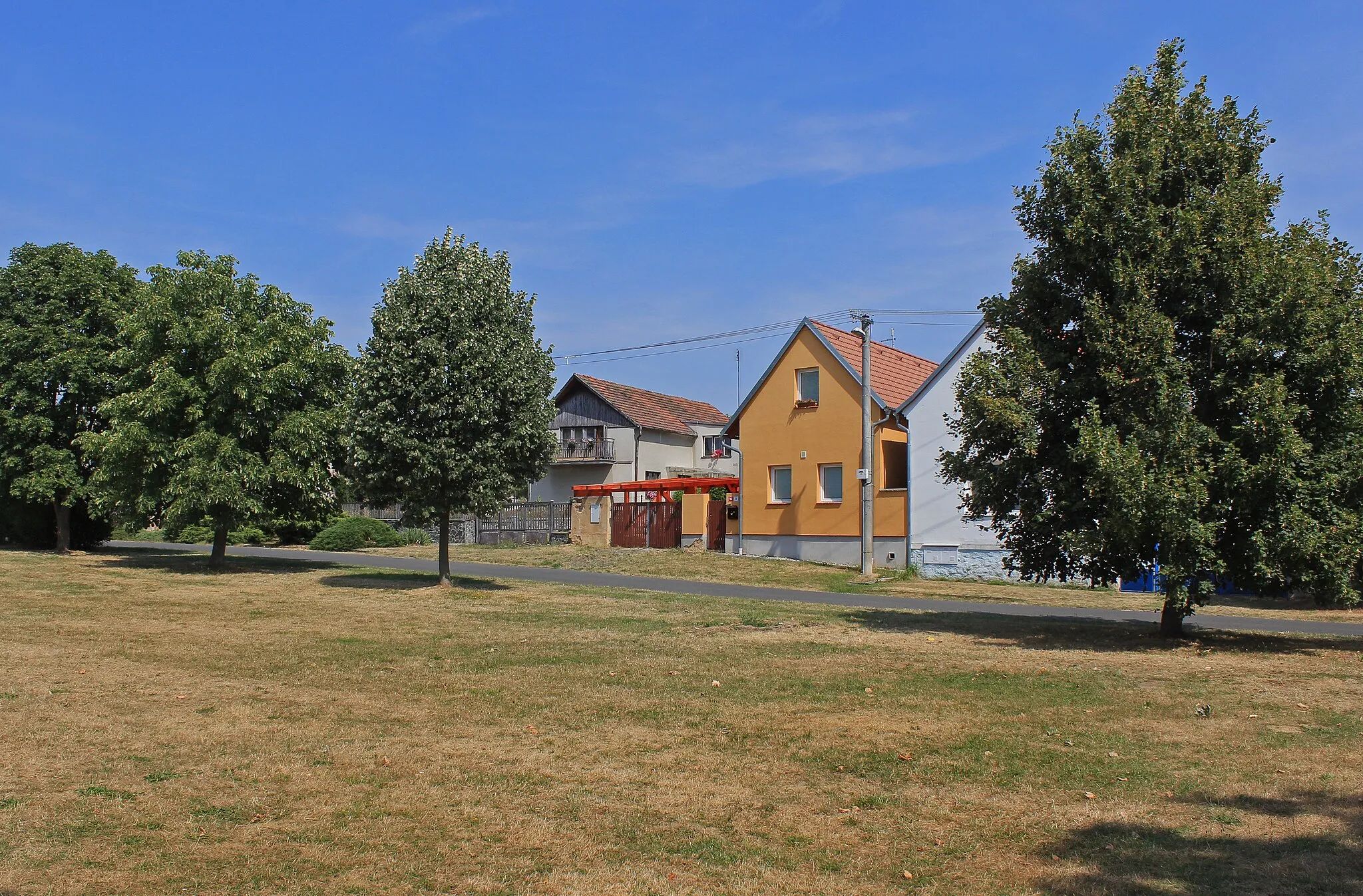 Photo showing: Common in Lhota, part of Plzeň, Czech Republic.