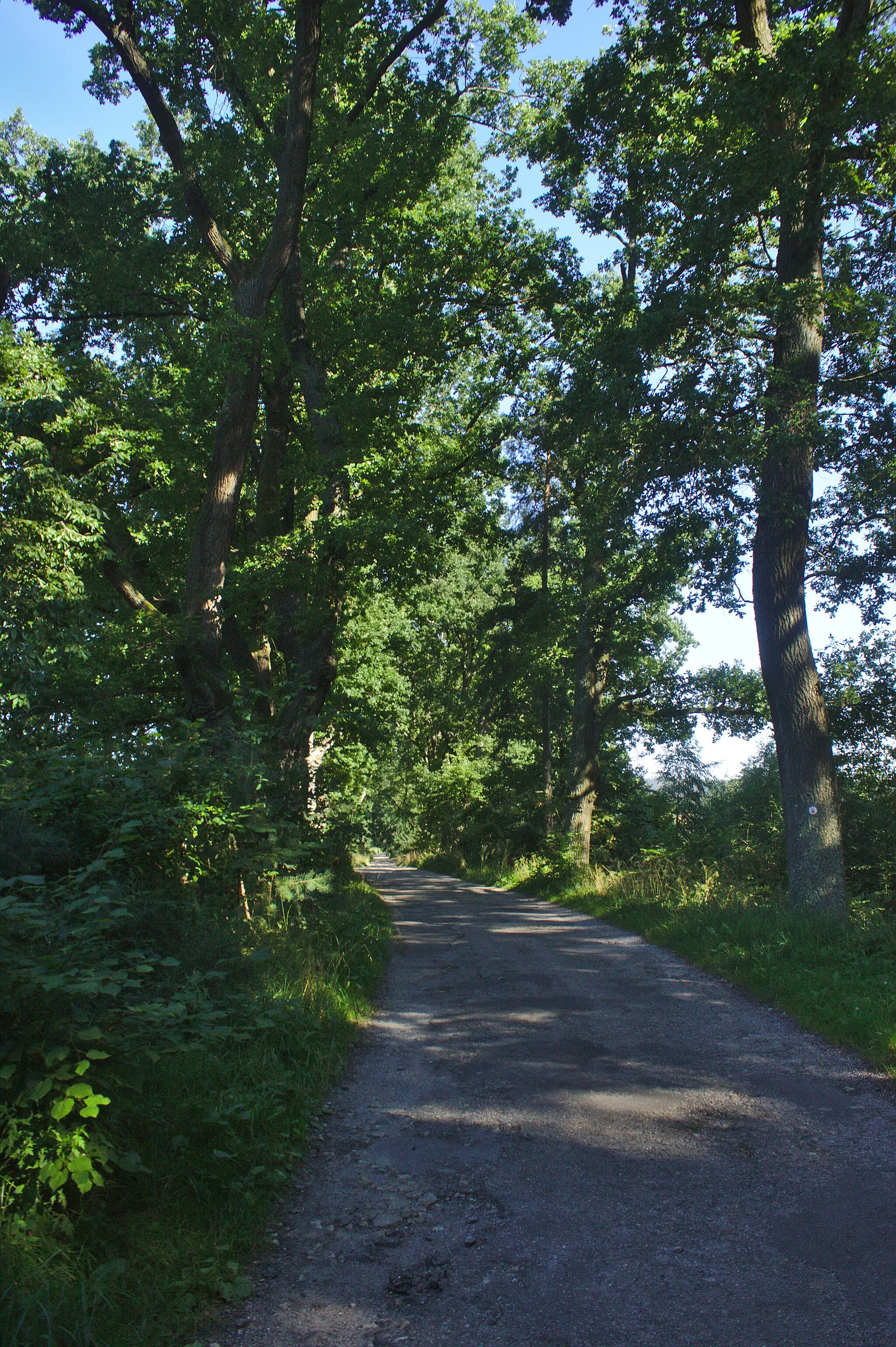 Photo showing: Silnice v osadě Na Cihelně u Lásenice, Jihočeský kraj