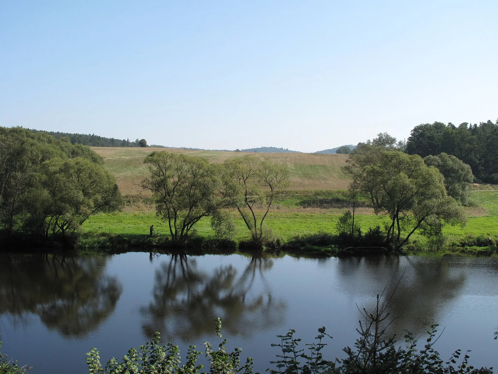 Photo showing: Otava River, view to the right river bank under Vrcovice village, Písek District, Czech Republic.