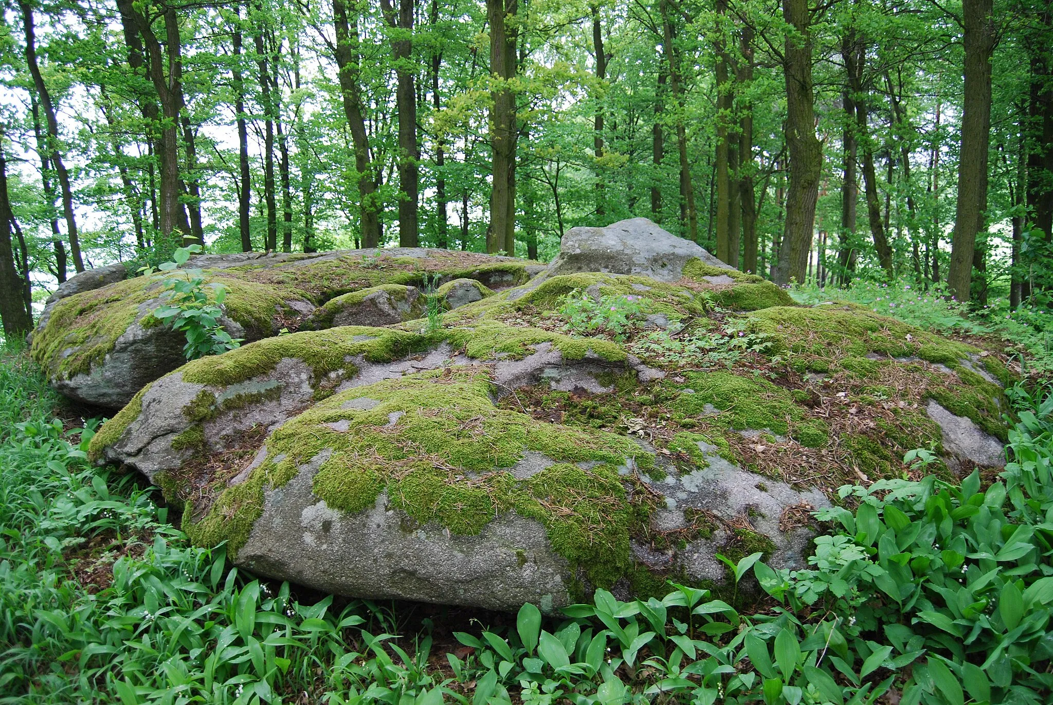 Photo showing: Seskupení kamenů - Čertova kanapíčka, severovýchodně od vesnice na vrchu Na Brdech u Hantákovy kaple. Níkovice je část obce Hrejkovice v okrese Písek. Česká republika.