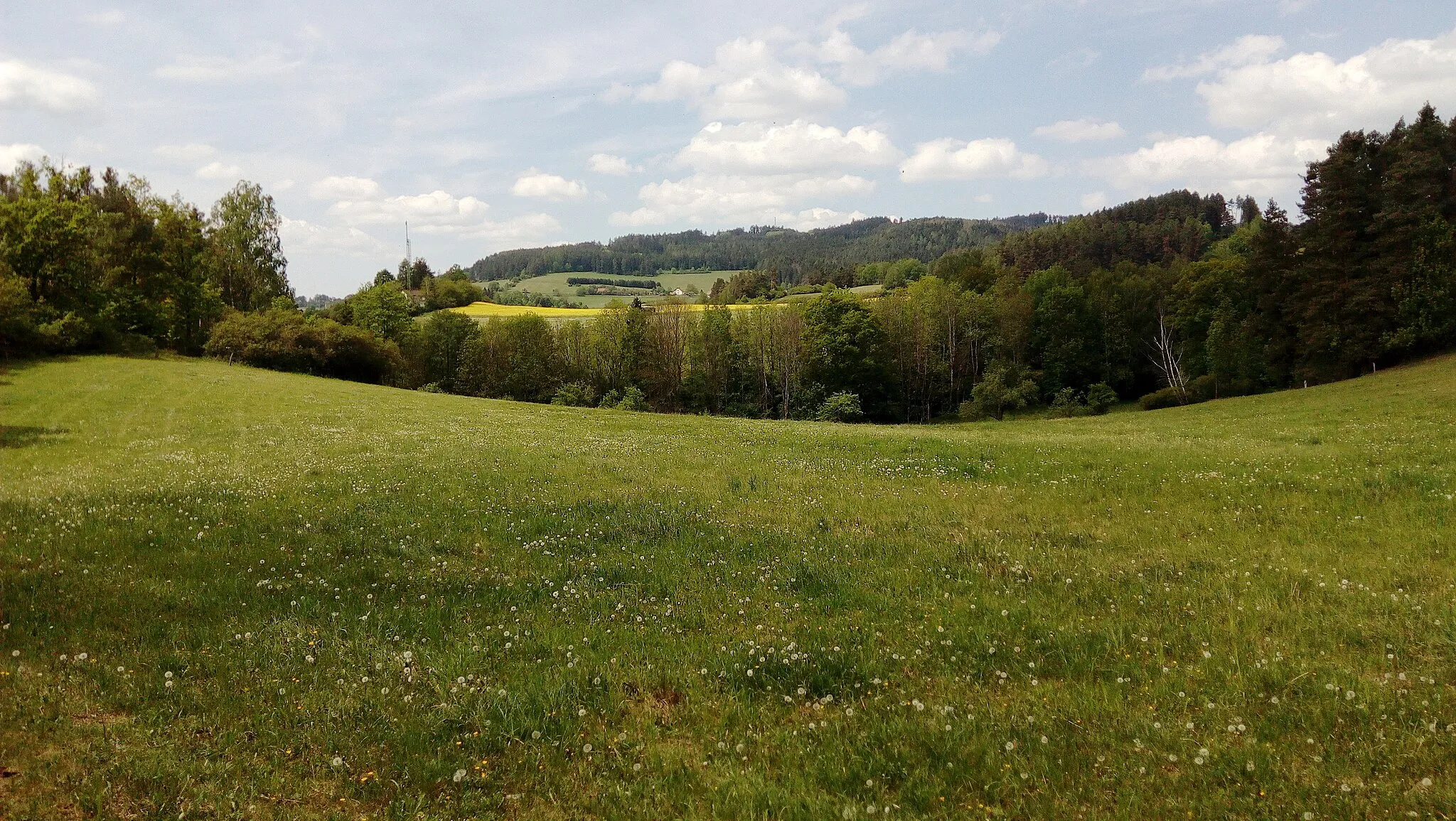 Photo showing: Landscape north of Malenice, south Bohemia, Czech Republic.