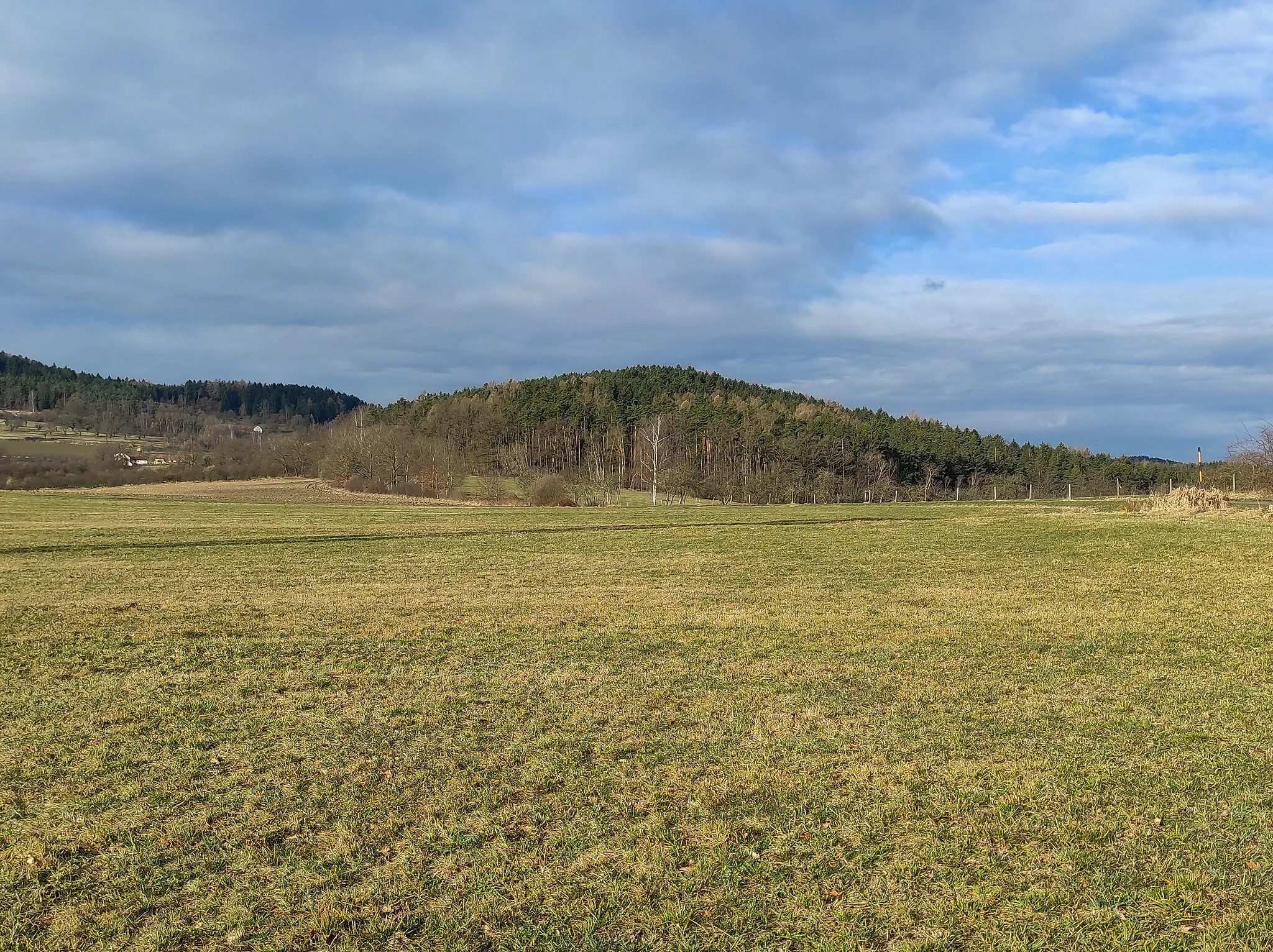 Photo showing: Vrch Velký Hrádeček při pohledu od východu, na kterém se nachází pravěké hradiště Velký hrádeček, k.ú. Třebanice v okrese Prachatice v Jihočeském kraji.