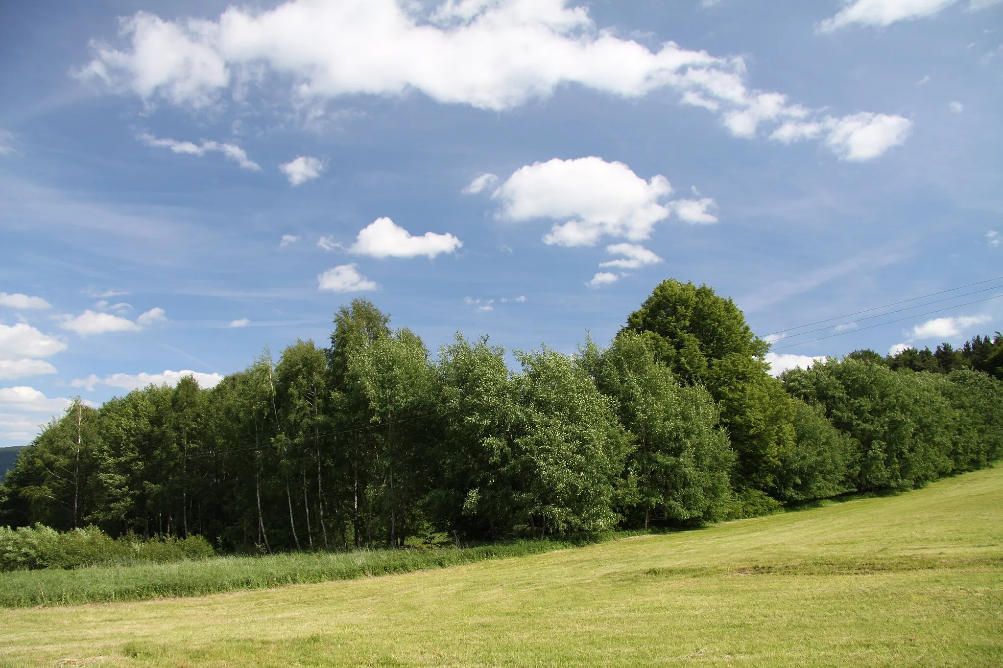 Photo showing: Natural monument Štěrbů louka near Lhenice, Prachatice District, Czech Republic