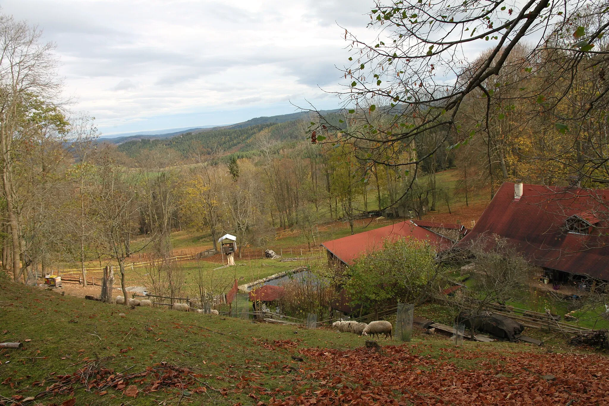 Photo showing: Třemšín locality in the cadastral area of Volovice. Volovice is a part of the Prachatice Municipality, South Bohemian Region, Czechia.