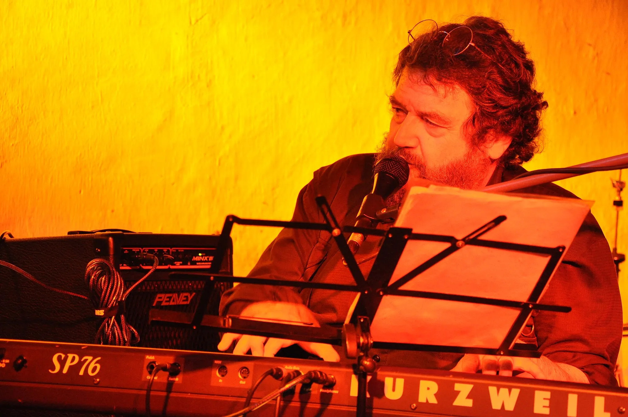 Photo showing: Jan Spálený a ASPM na festivalu Otevřeno Jimramov 2009