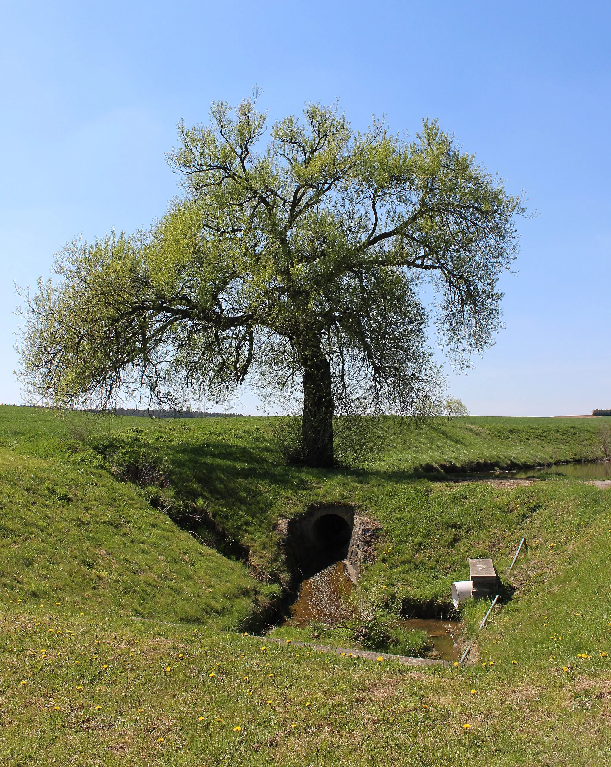 Photo showing: Březské, okres Žďár nad Sázavou, výpust vodní nádrže na západní okraji obce