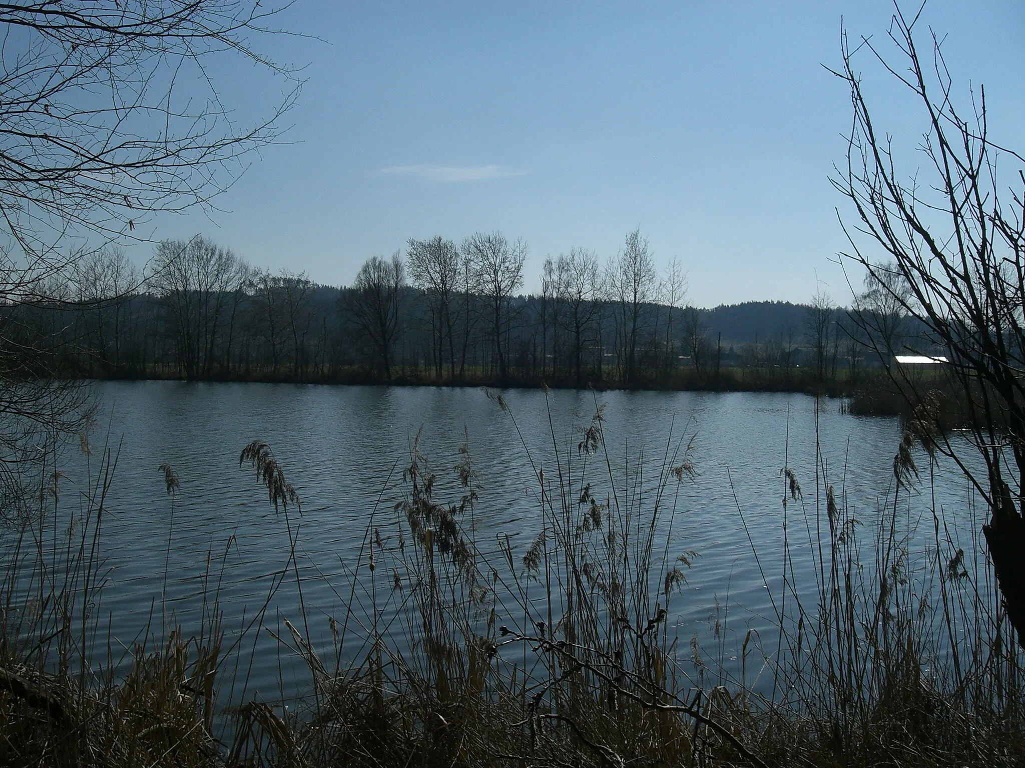 Photo showing: Ražický rybník - nature reservation in Písek district, Czech Republic.