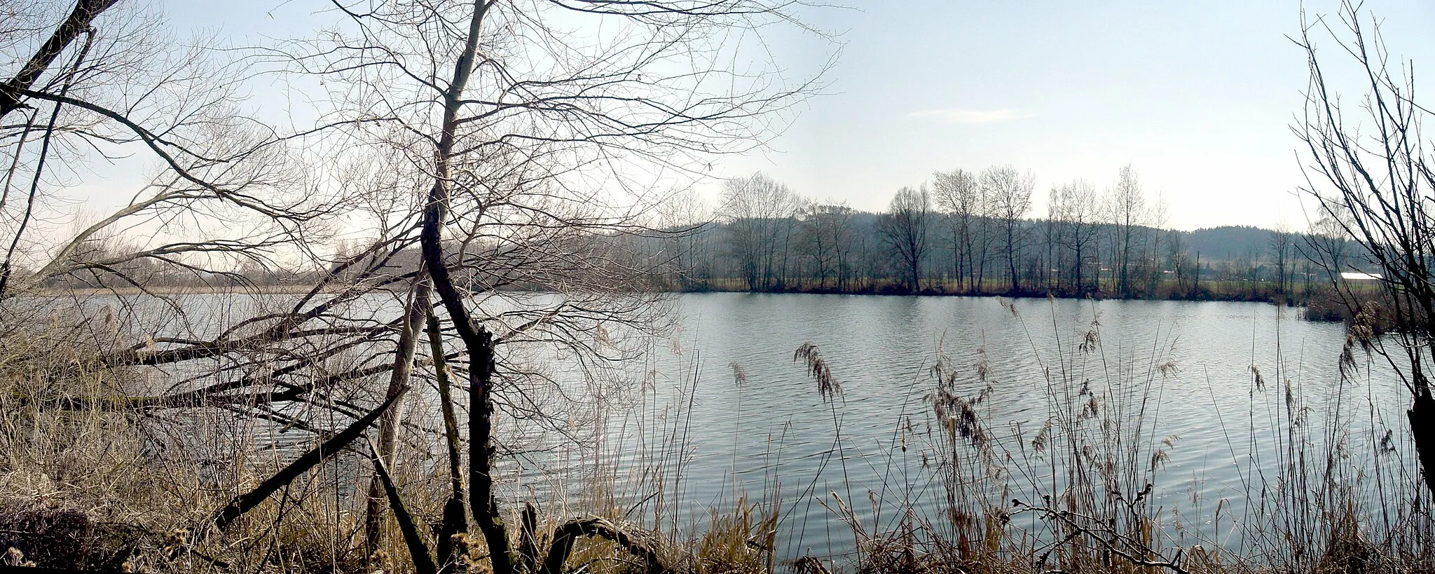 Photo showing: Ražický rybník - nature reservation in Písek district, Czech Republic.