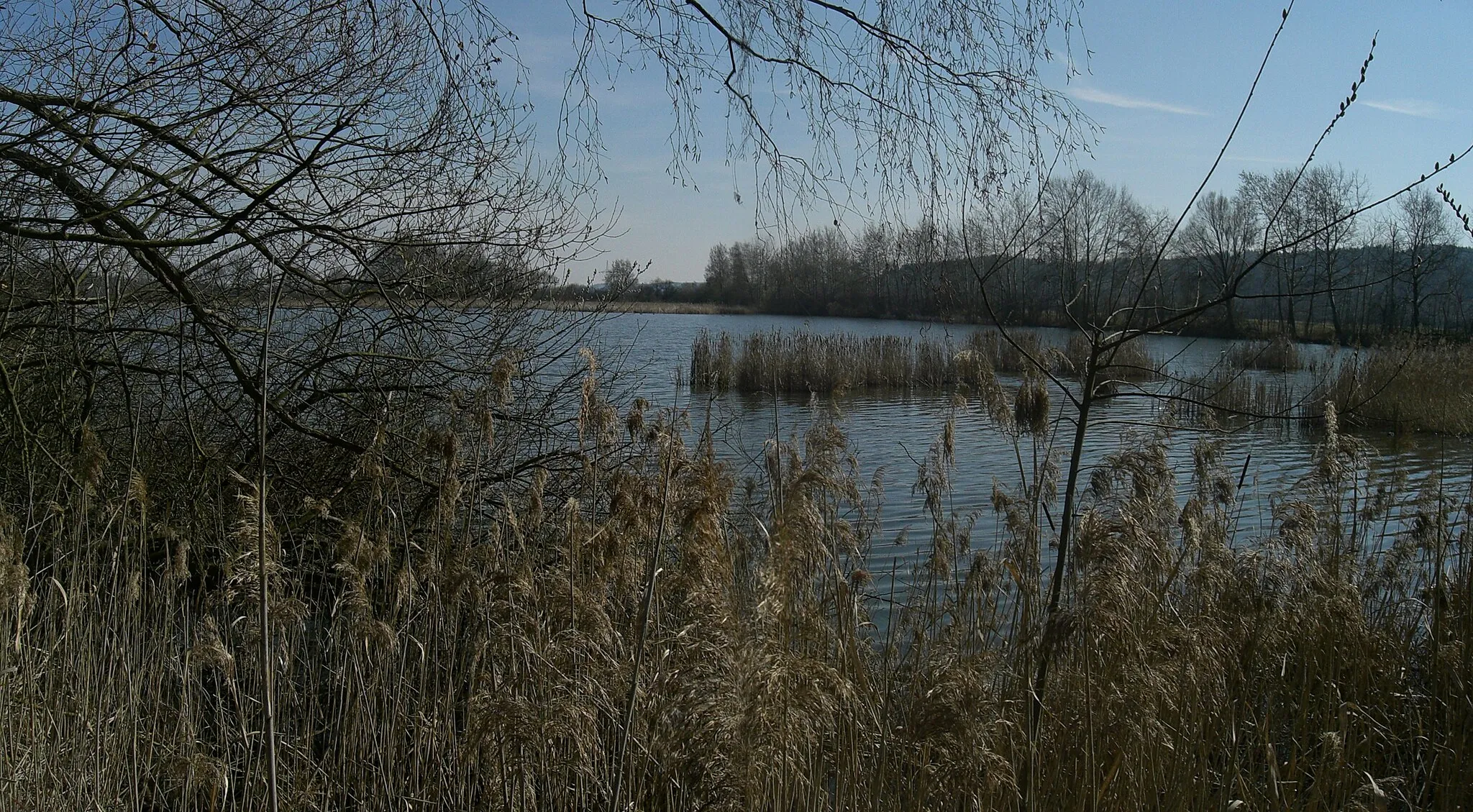 Photo showing: Ražický rybník - nature reservation in Písek district, Czech Republic. Panorama