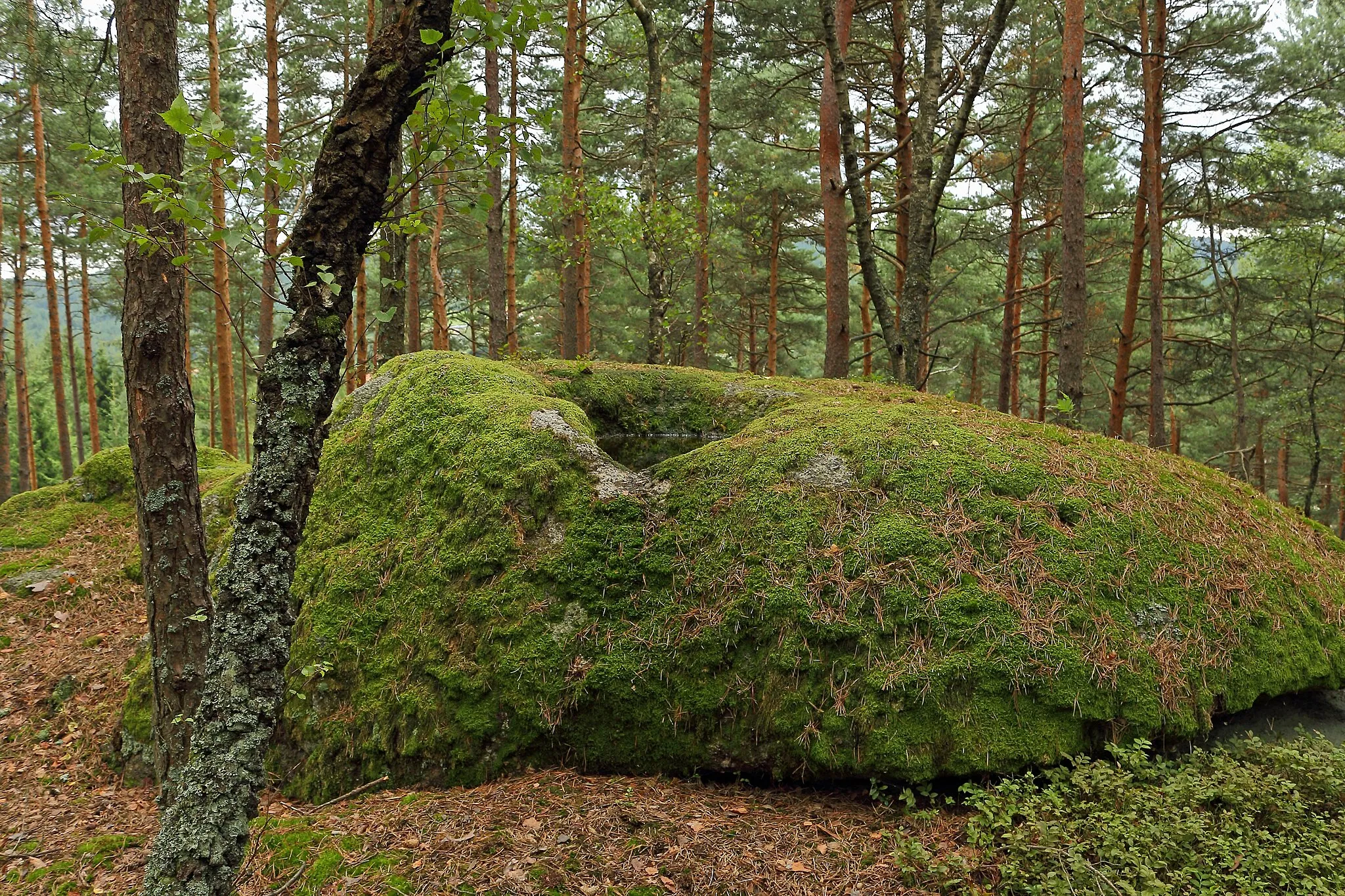 Photo showing: This media shows the natural monument in Lower Austria  with the ID ZT-098.