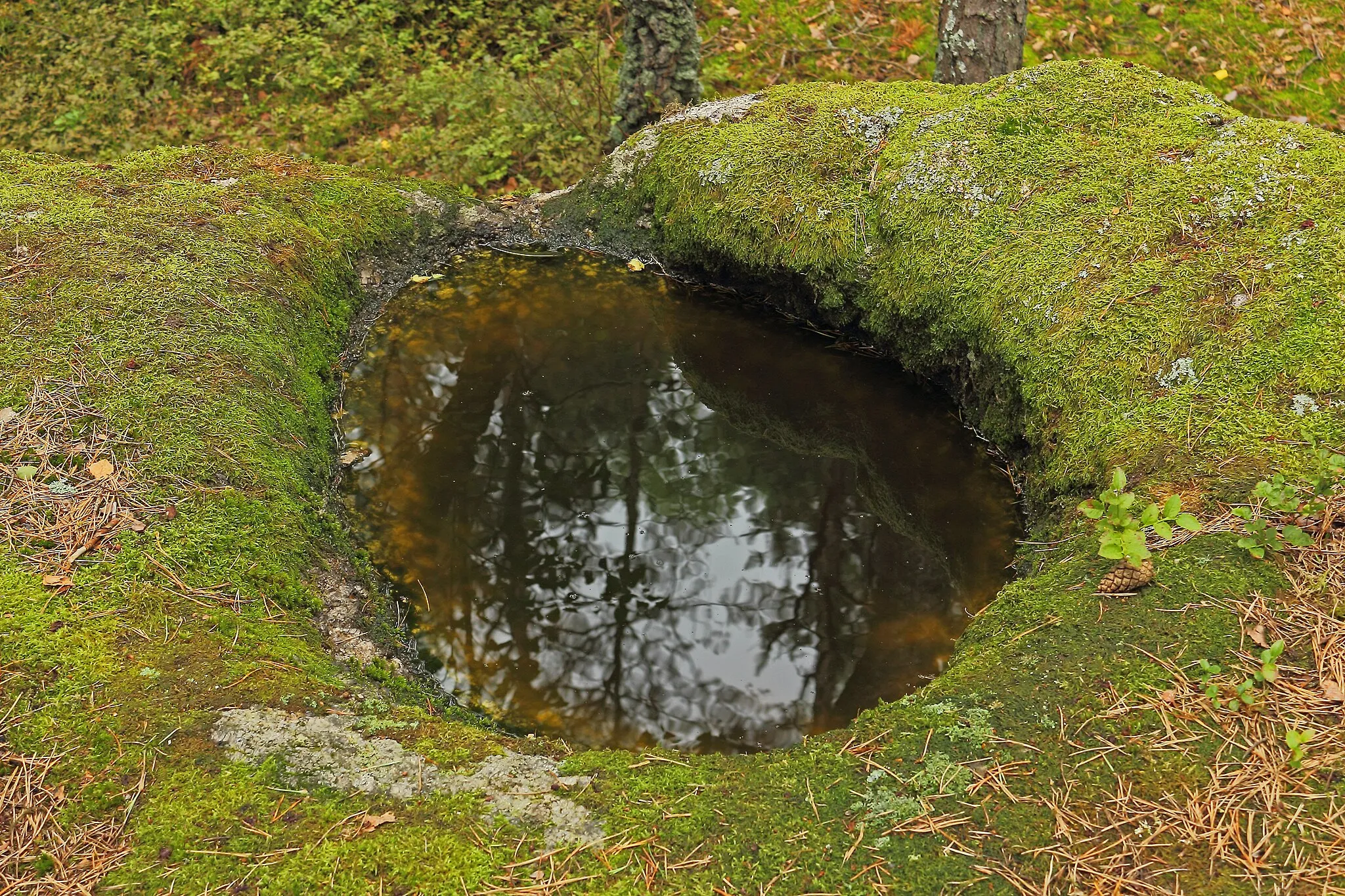 Photo showing: This media shows the natural monument in Lower Austria  with the ID ZT-098.