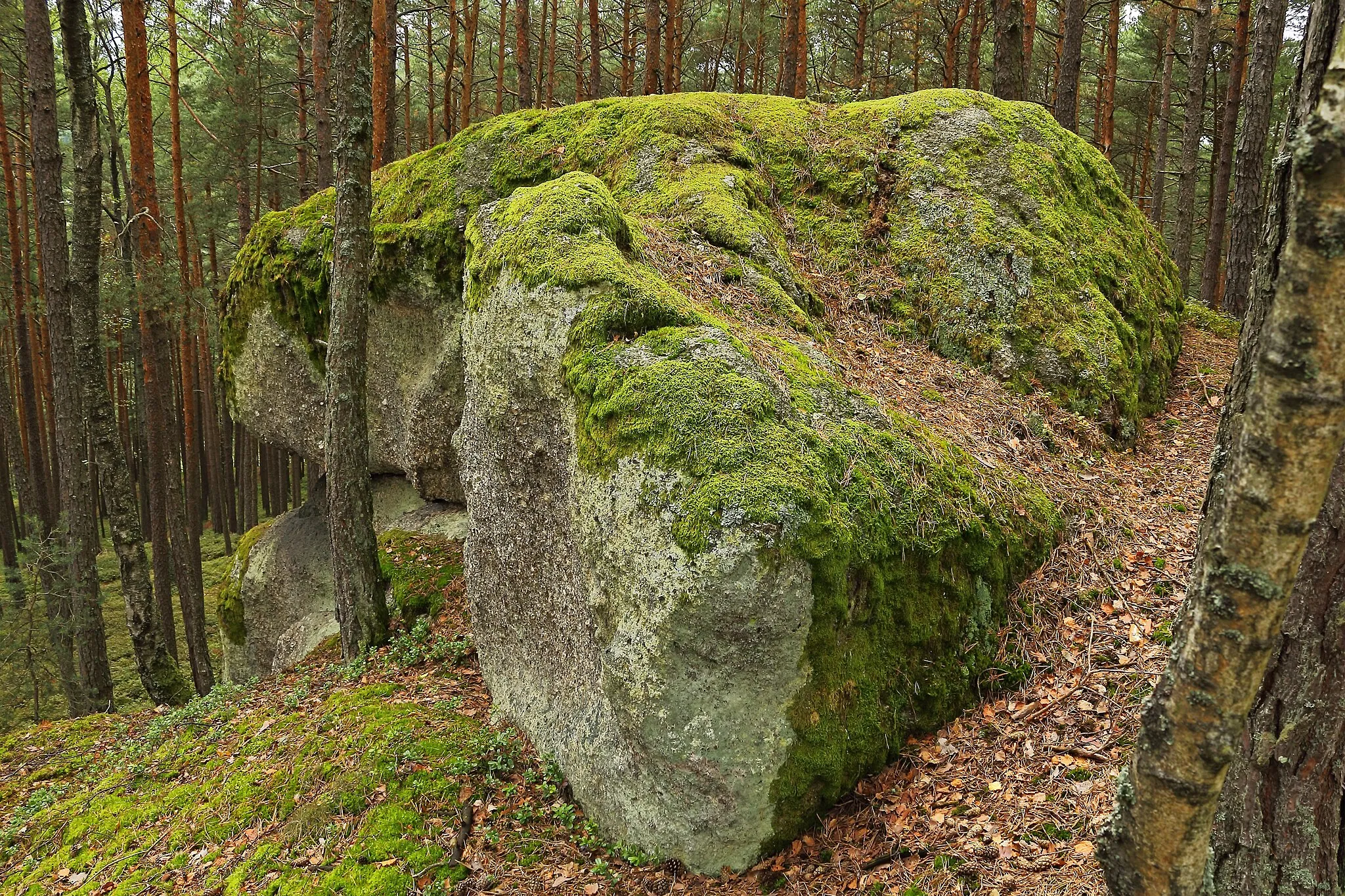 Photo showing: This media shows the natural monument in Lower Austria  with the ID ZT-098.