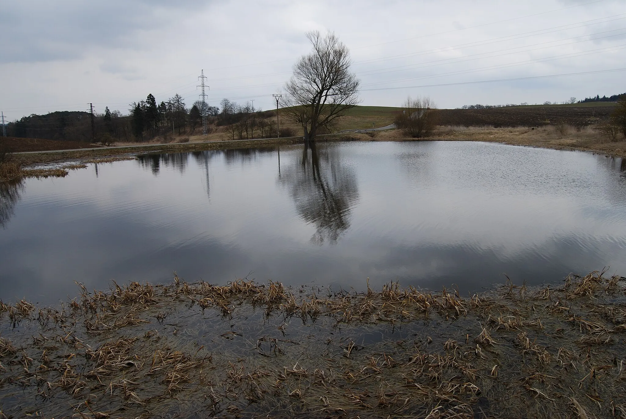 Photo showing: Pohled na Dolní Sirotčí rybník od silnice vedoucí ke hřbitovu. Oldřichov (Dobev). Okres Písek. Česká republika.
Camera location 49° 18′ 46.91″ N, 14° 06′ 22.91″ E View this and other nearby images on: OpenStreetMap 49.313031;   14.106364