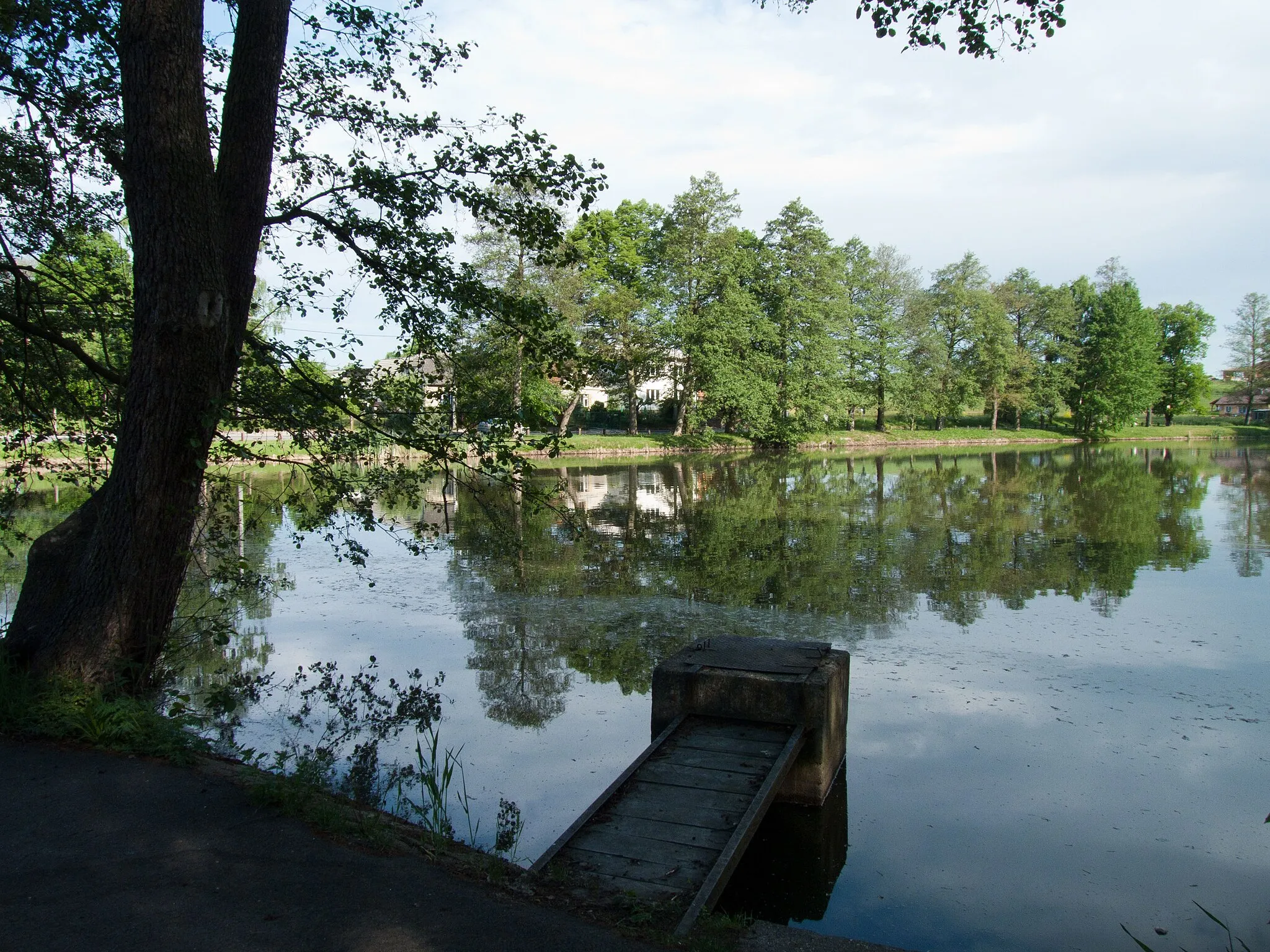 Photo showing: Pond called Dítě (Child) in the village of Sedlečko u Soběslavě, Tábor District, Czech Republic.