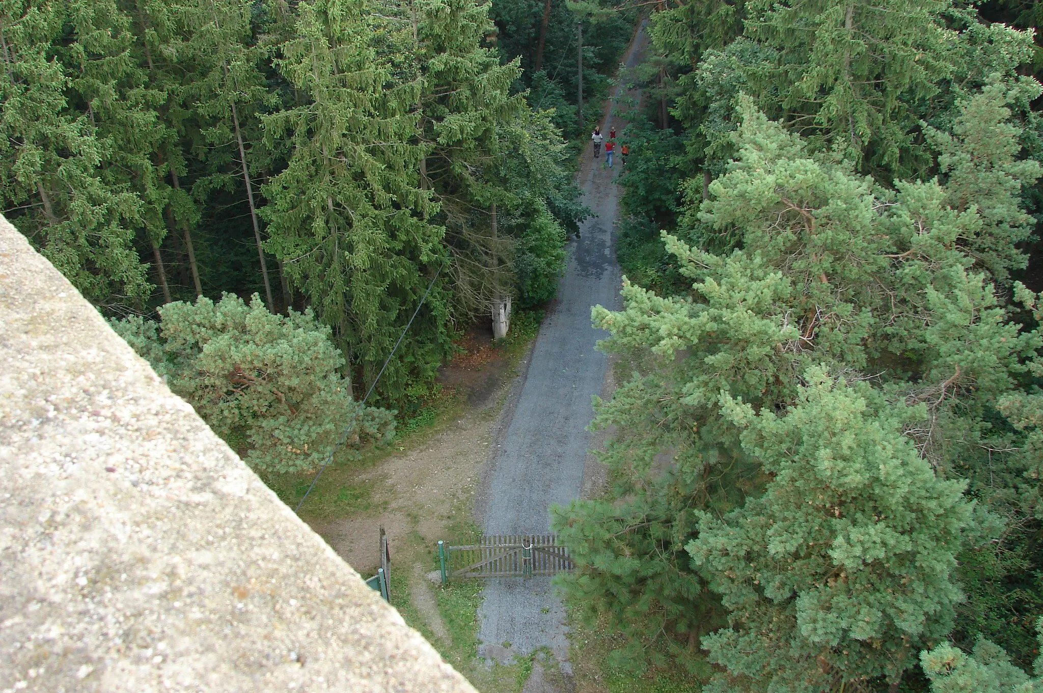 Photo showing: příjezdová cesta