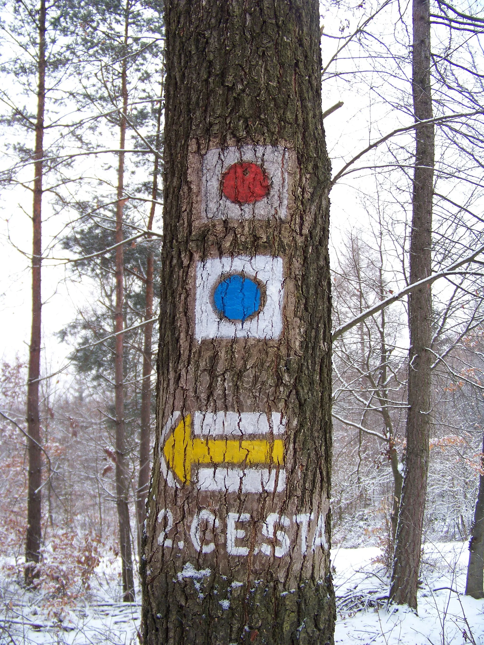 Photo showing: Lány, Kladno District, Central Bohemian Region, the Czech Republic. Hiking and riding route signs near "Vašírovská lísa".