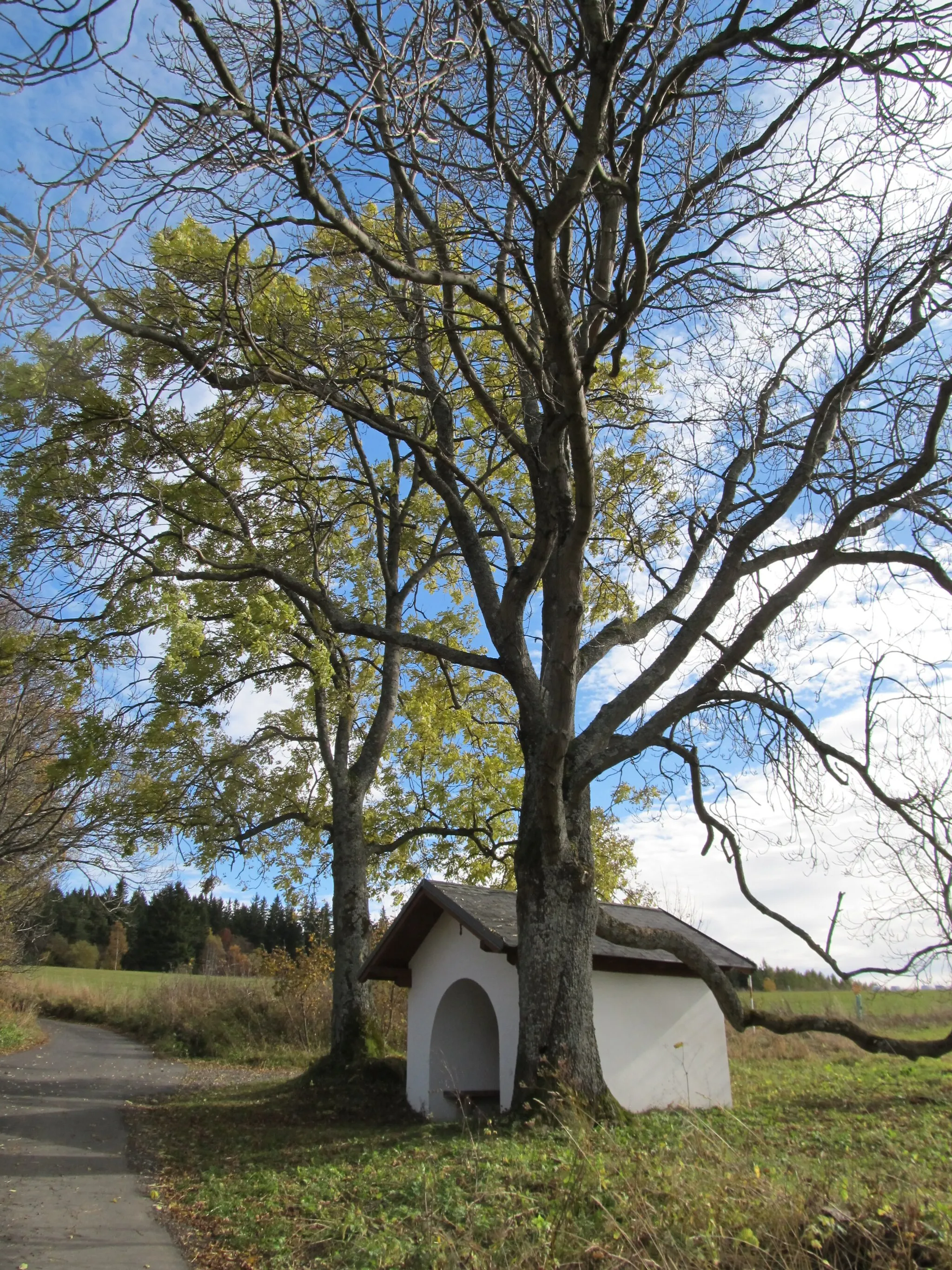 Photo showing: Svinná - kaplička