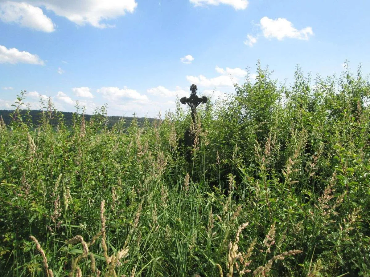 Photo showing: Wayside cross in Horšovský Týn in Domažlice District – entry no. 6634.
