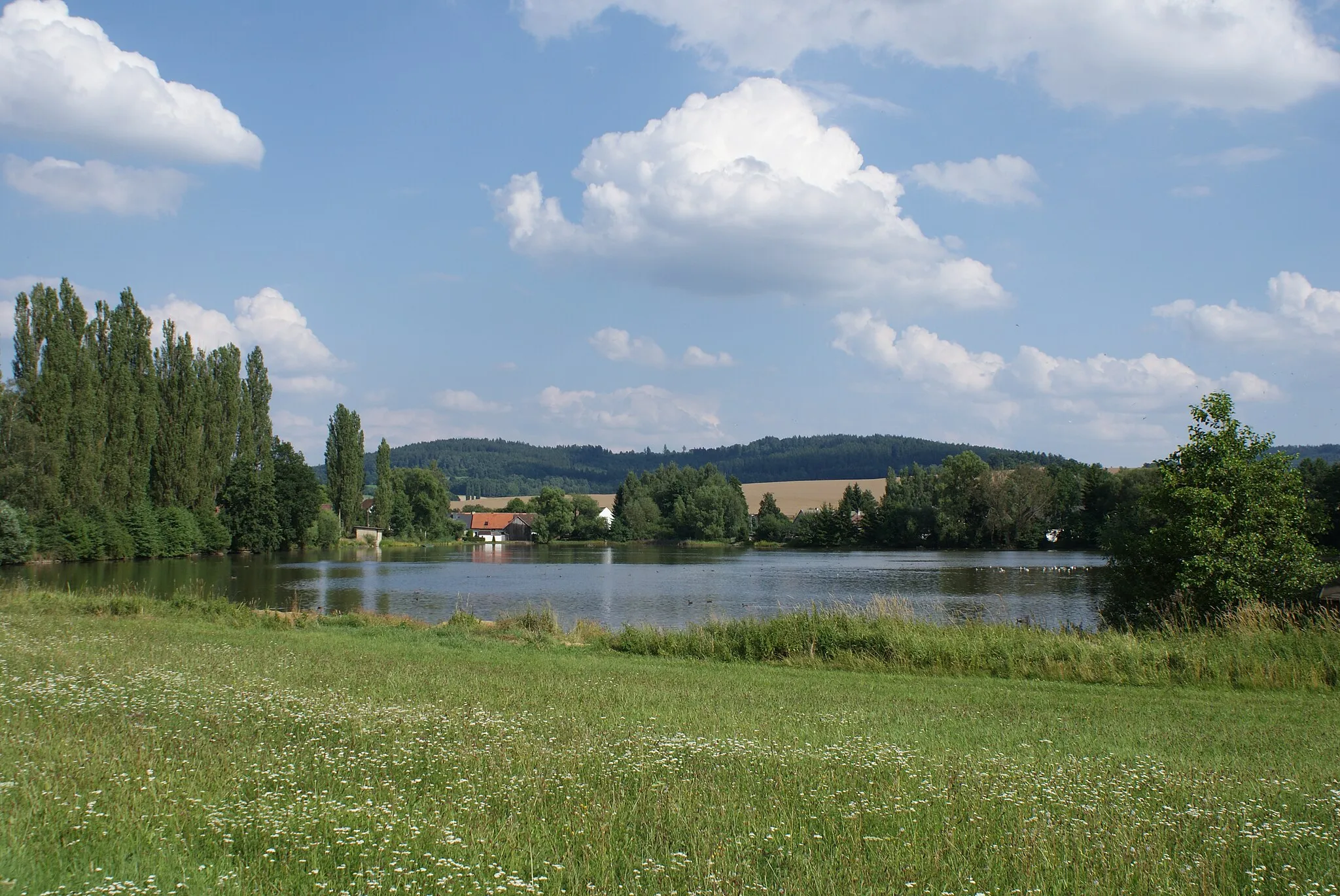 Photo showing: Petrovičky (Předslav), a village in Klatovy District, Czech Rep., a view across a fishpond.