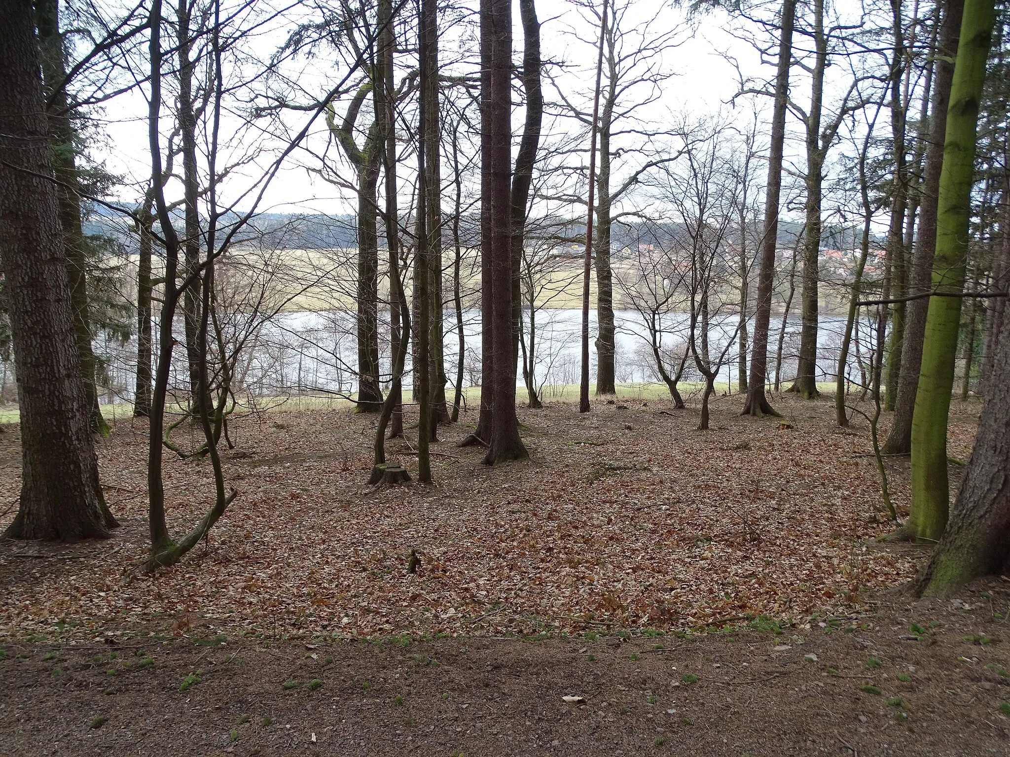 Photo showing: Chaloupky-Neřežín, Beroun District, Central Bohemian Region, Czechia. Záskalská Reservoir.