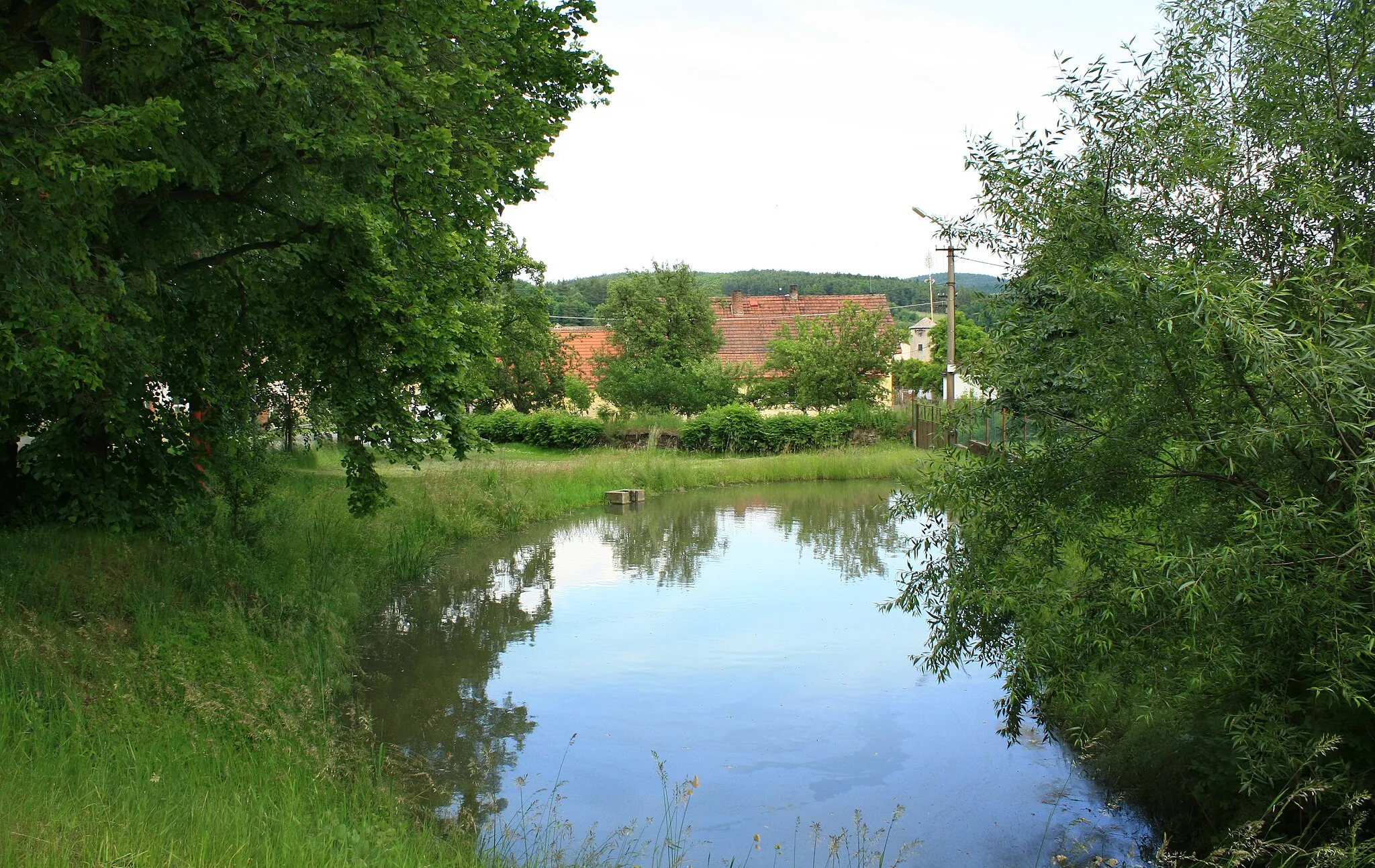 Photo showing: Common pond in Dehtín, part of Klatovy, Czech Republic