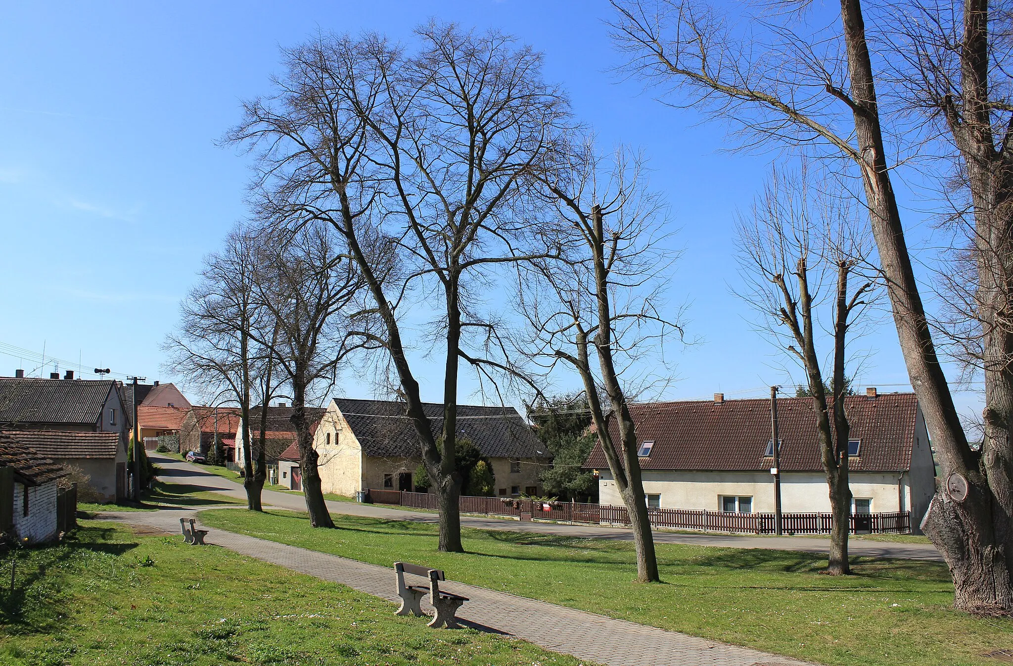 Photo showing: Common in Střapole, part of Bušovice, Czech Republic.