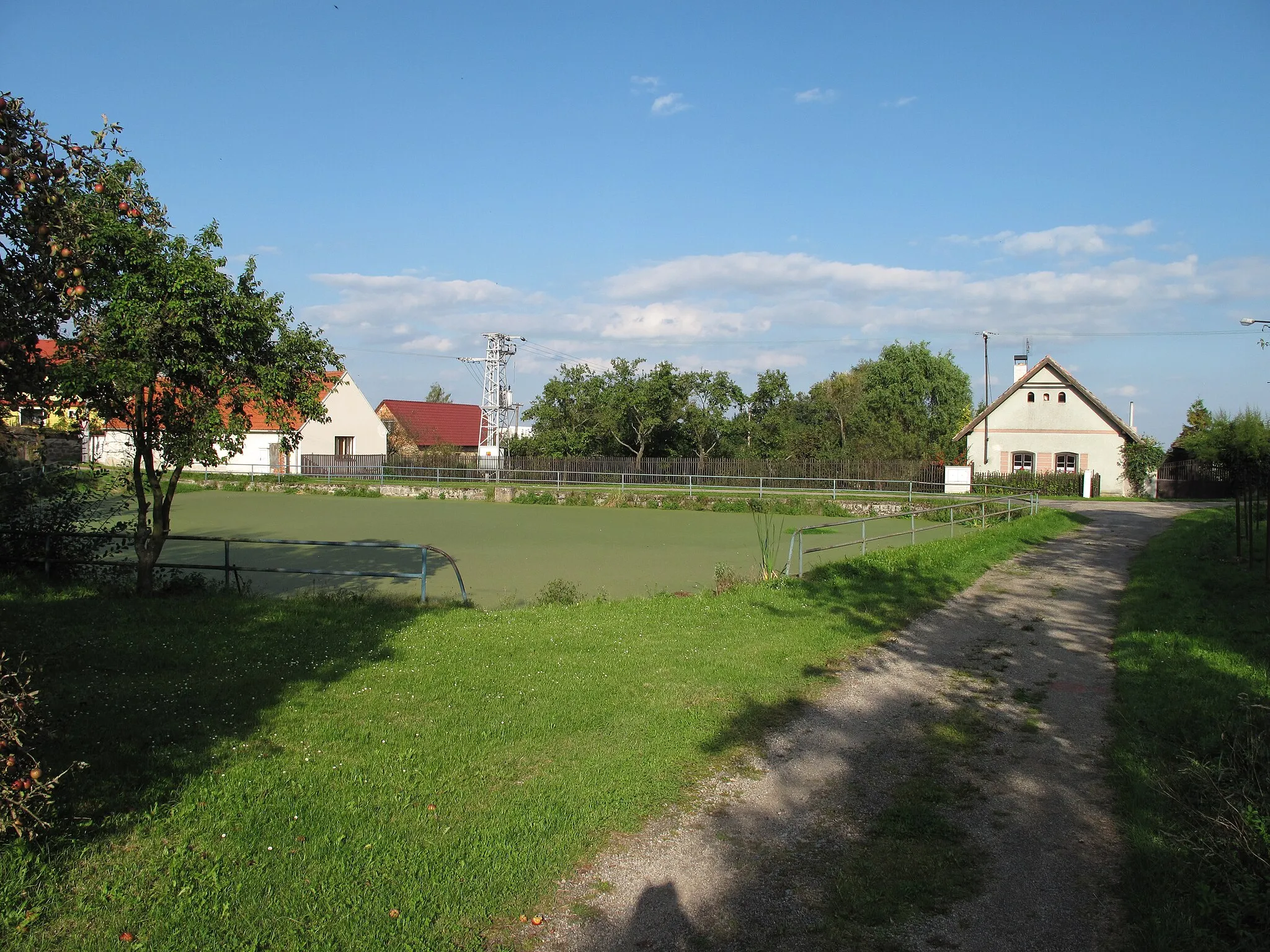 Photo showing: Pondin Mužetice. Strakonice District, Czech Republic.