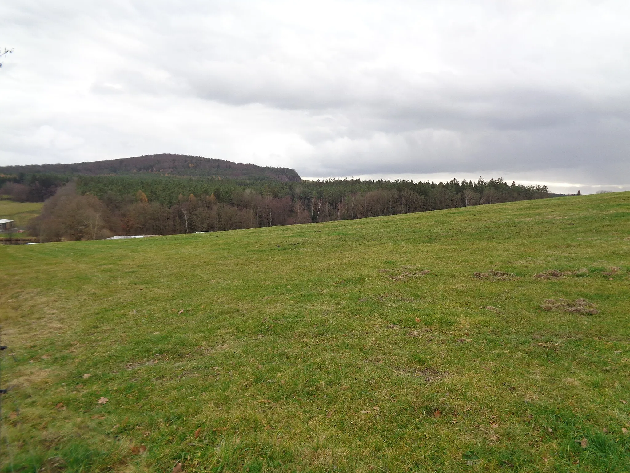 Photo showing: Todeňská hora in České Budějovice District