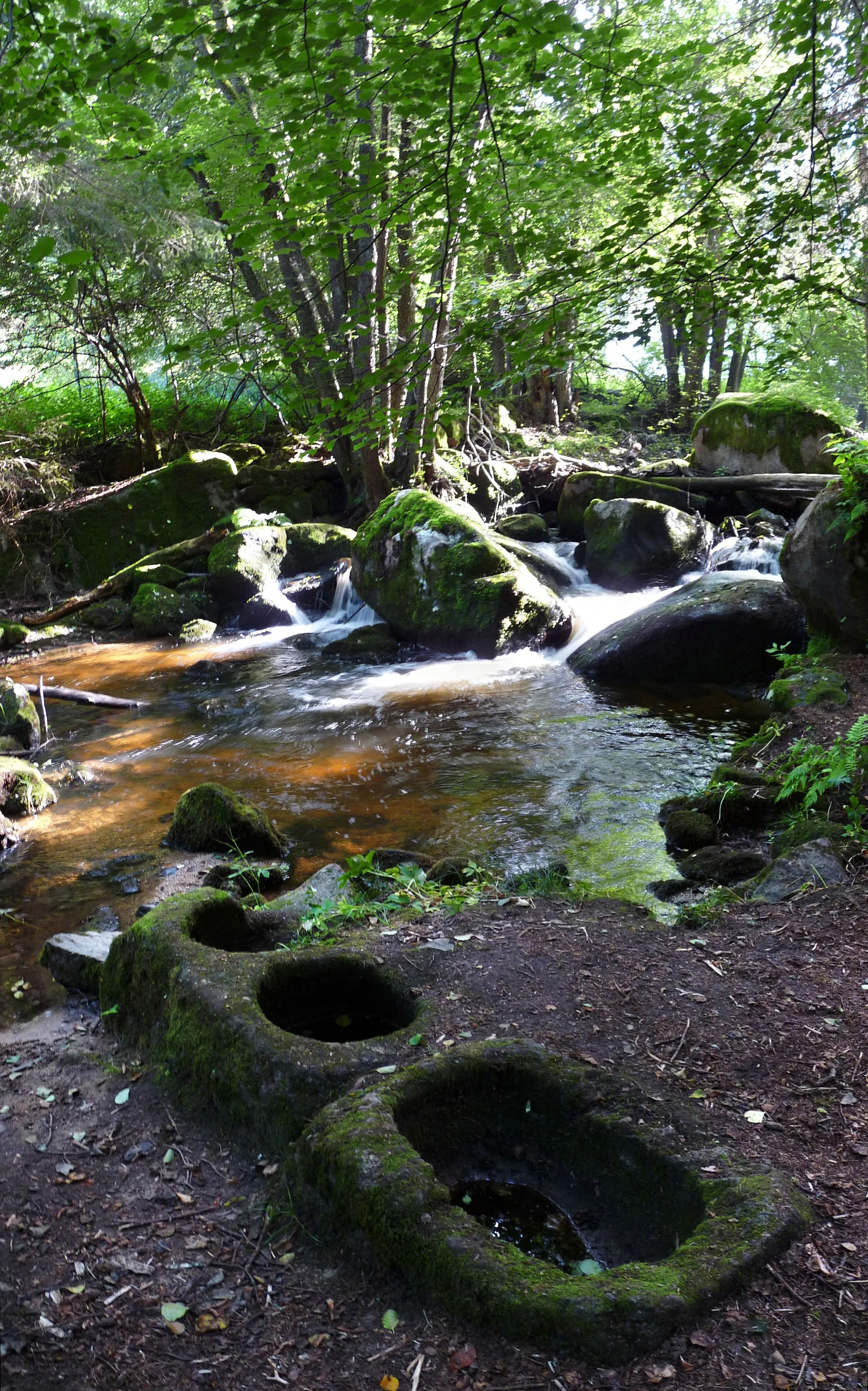 Photo showing: Educational trail Opatská stezka (Abbot Trail) along the Menší Vltavice River in Vyšší Brod, Český Krumlov District, Czech Republic.