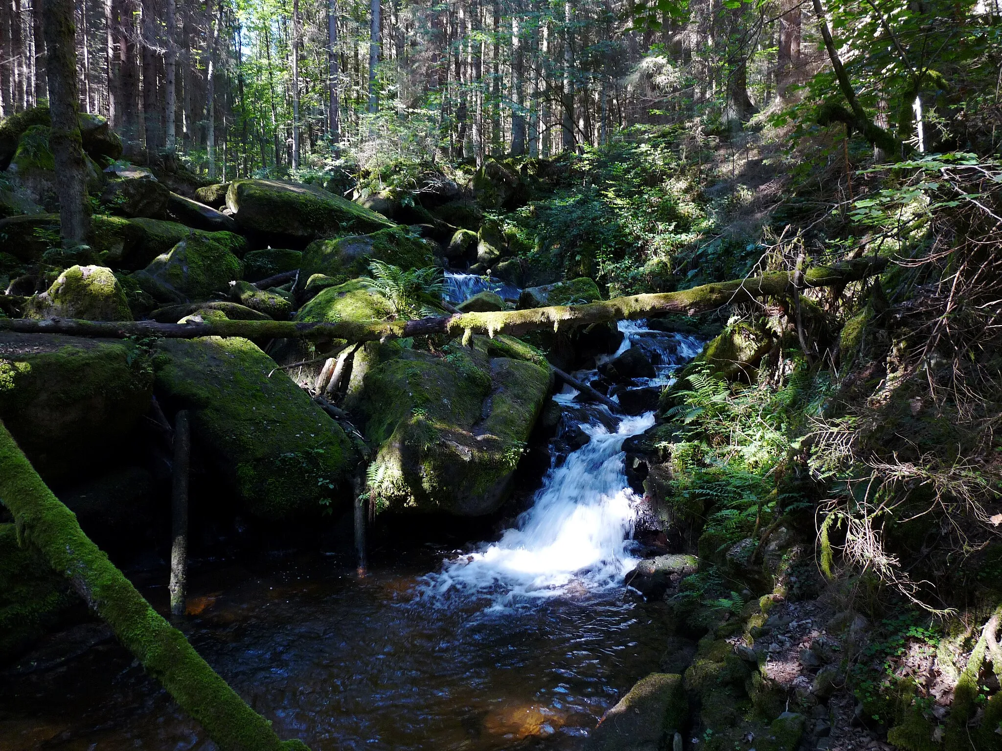 Photo showing: Waterfalls of Saint Wolfgang on the educational trail Opatská stezka I (Abbot Trail I) near Vyšší Brod, Český Krumlov District, Czech Republic.