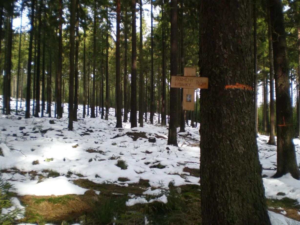 Photo showing: Jeden z pramenů Litavky ve svazích Malého Toku a Hradiště