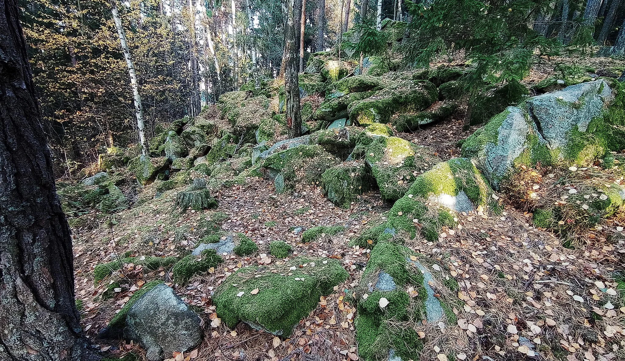 Photo showing: Raziberg, a hill with a hillfort near Boletice in South Bohemia, Czechia